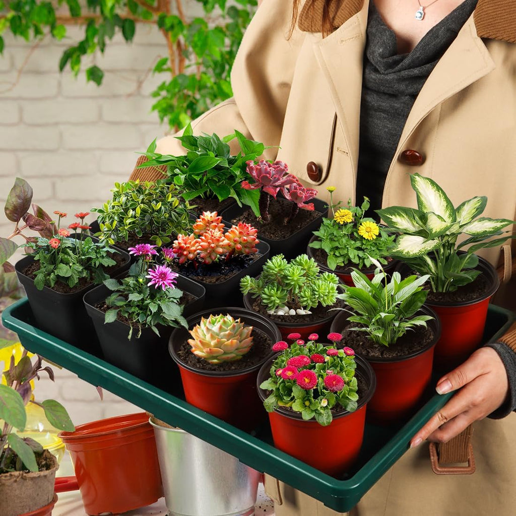 RooTrimmer 5 Pack Seed Starter Trays (17"x11"x2"), Plastic Flat Nursery Pots Trays, Durable Carrying Seedling Starter