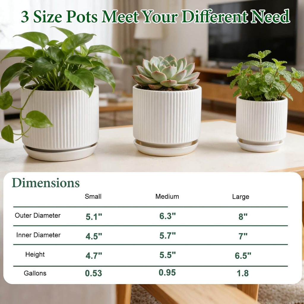 Ceramic-Flower-Pots-Sets-with-Saucer, 5/6/8 inch Small Planters for Indoor Plants with Drainage Hole, White Vertical