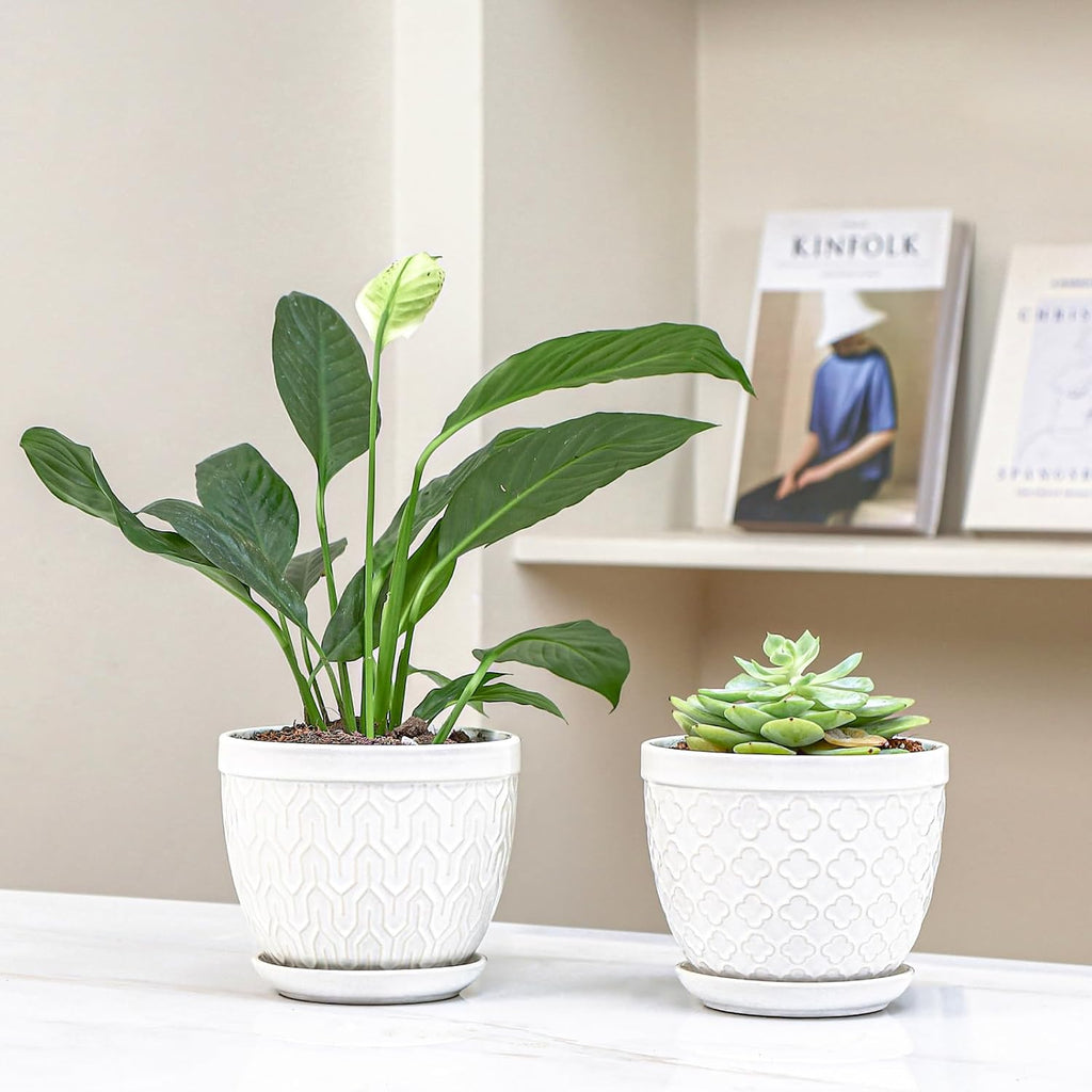 Sureasy Ceramic Indoor Plant Pots - 5.6 Inch Flower Pots for Plants with Drainage Hole and Saucer, Embossed Planter for