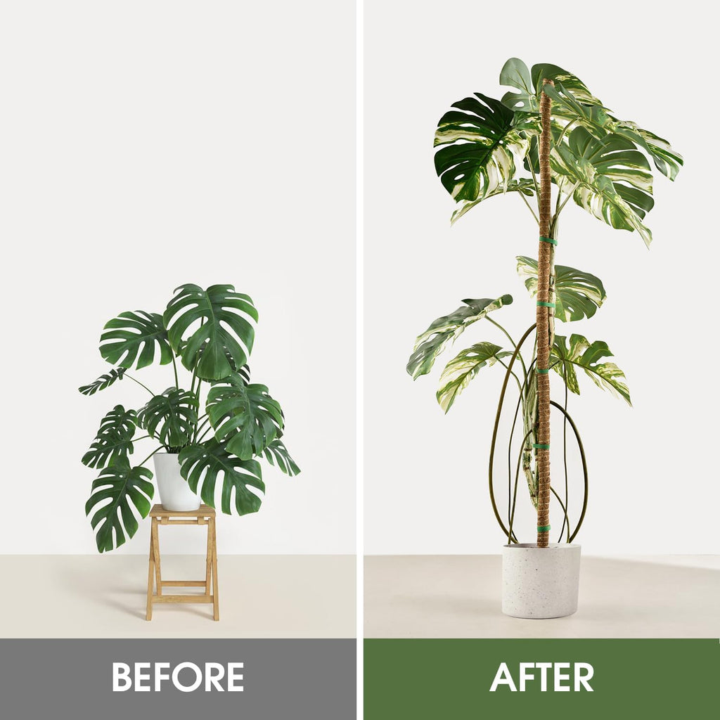 4 Pack Moss Pole 63 Inch Monstera Plant Sticks Support Tall Long Stakes | Climbing Indoor Large Bendable Handmade DIY
