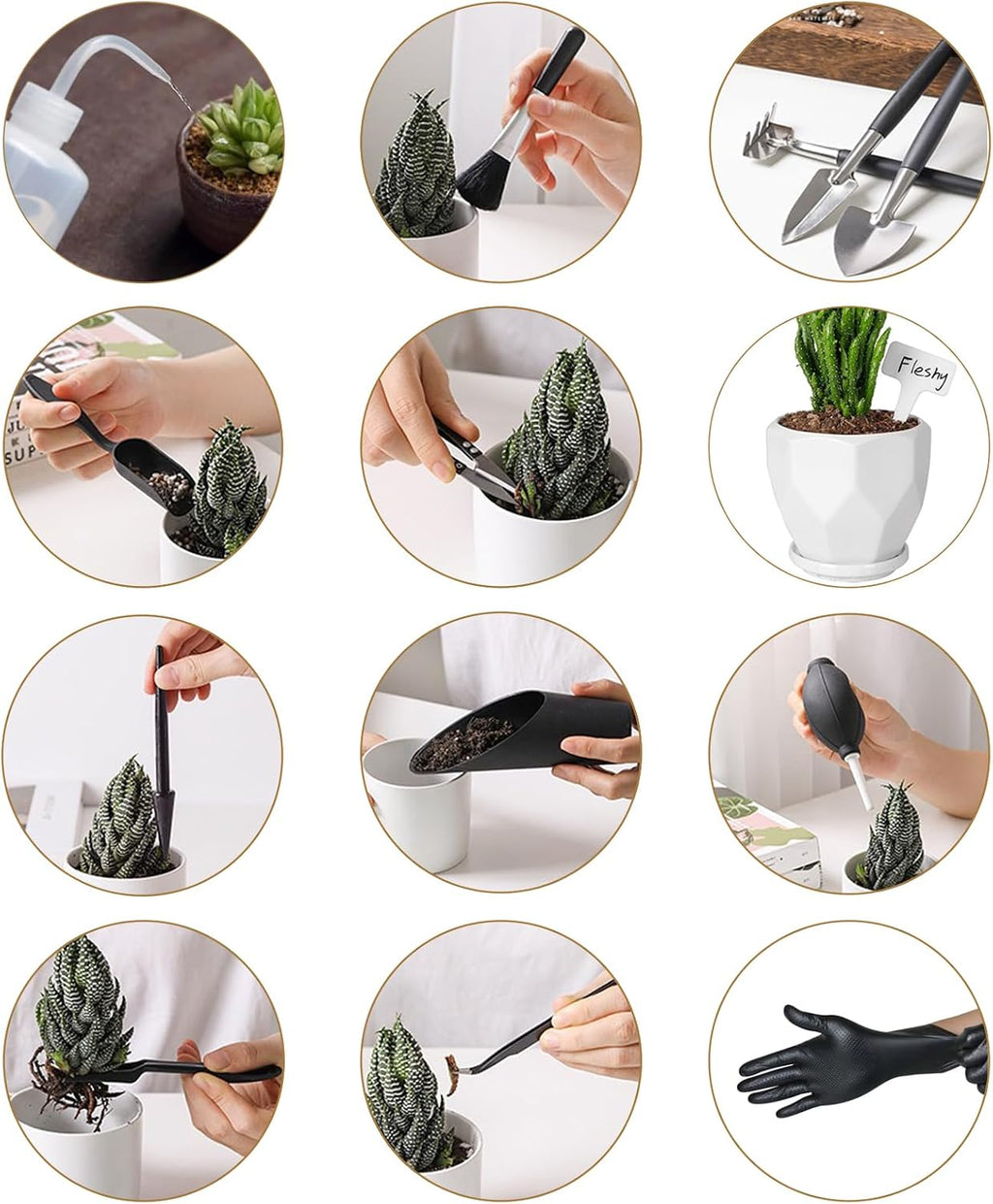 Succulent Tools and Plastic Succulent Pots