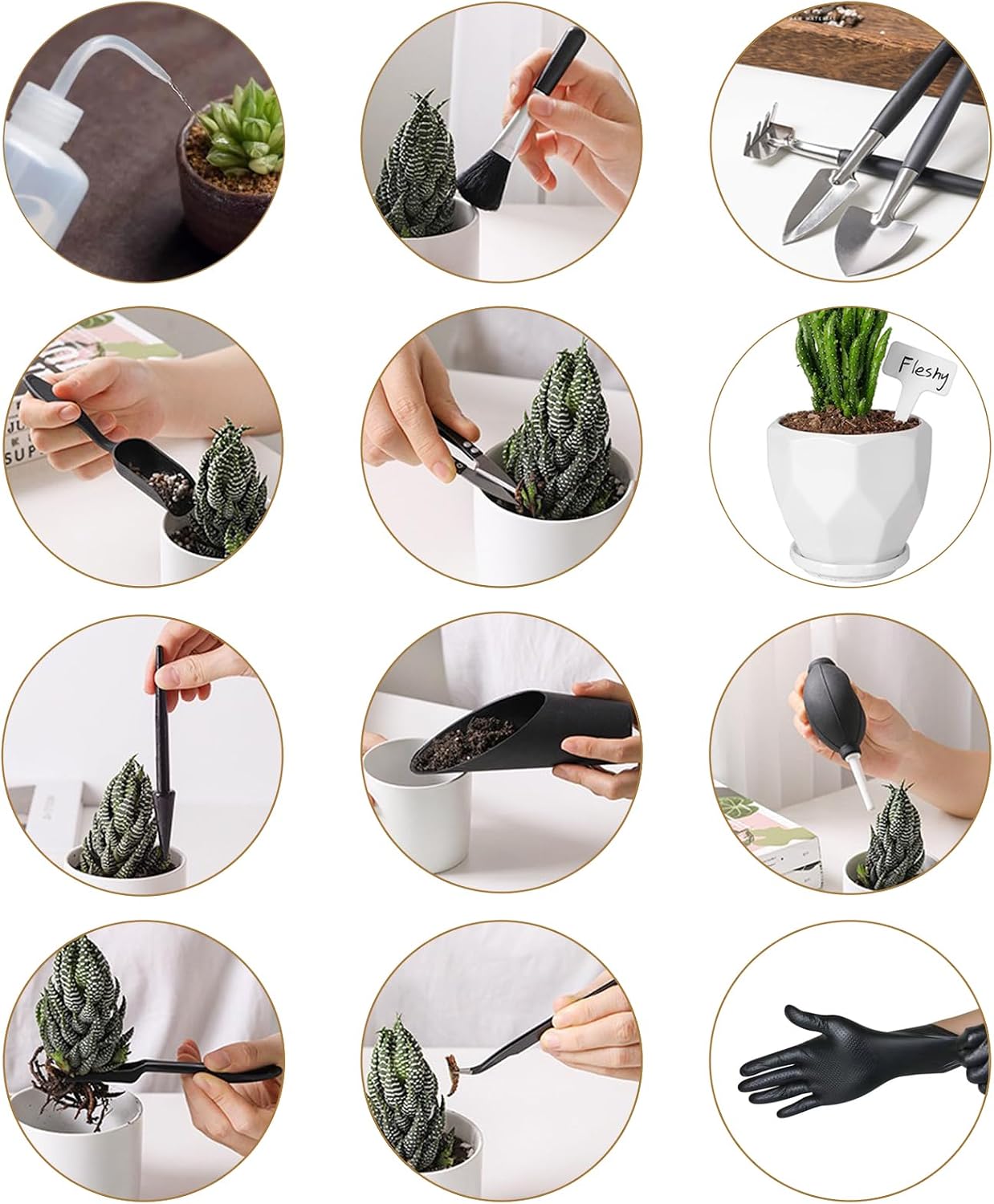 Succulent Tools and Plastic Succulent Pots