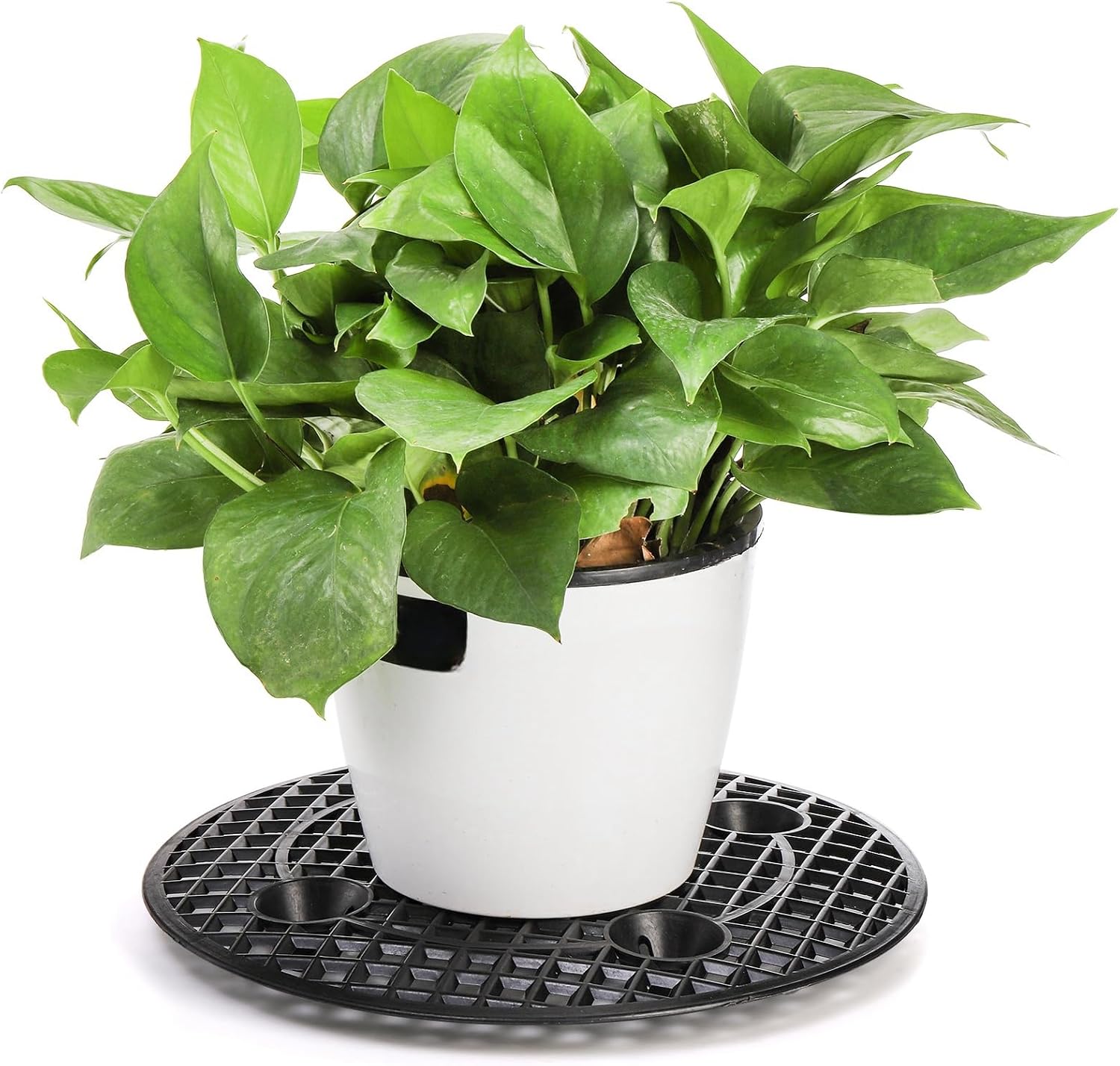 Tlence 15 PCS Plant Level Pot Elevator, 12 inch Plastic Potted Plant Stands, Large Patio Planter Riser Holder, Deck