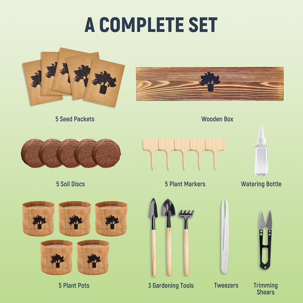 Bonsai Tree Kit - Complete Indoor Bonsai Starter Kit with 5 Unique Tree Seeds, Bonsai Tools - DIY Gardening Gift for