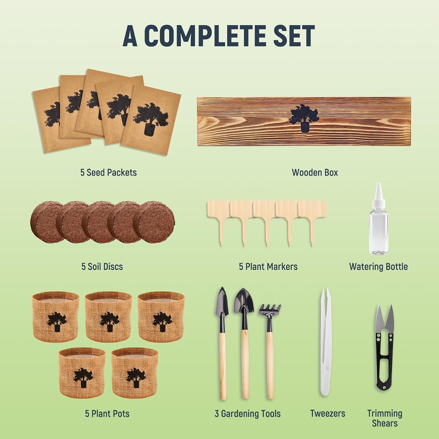 Bonsai Tree Kit - Complete Indoor Bonsai Starter Kit with 5 Unique Tree Seeds, Bonsai Tools - DIY Gardening Gift for