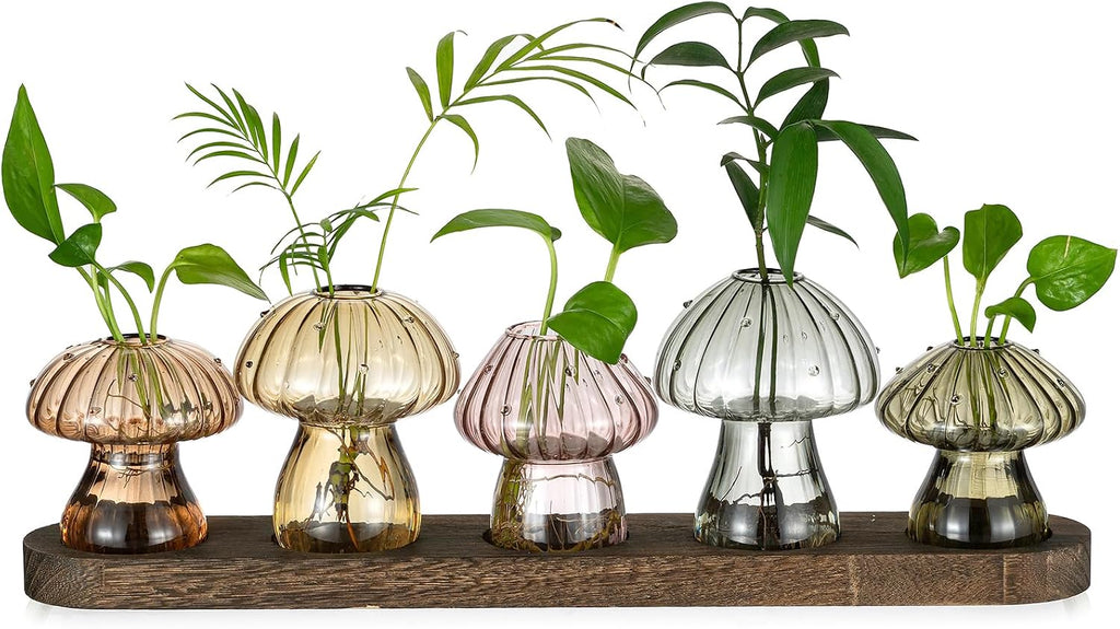 Bunmery 6 pcs Window Propagation Stations, Easy to Install Plant Propagation Bulbs with Suckion Cups, No Nails Wall Hanging Planter Propagation Station, Glass Plant Terrarium Vase