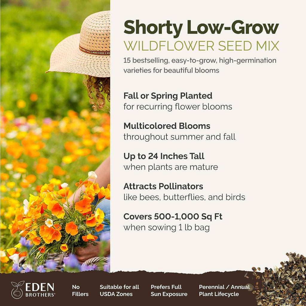 Eden Brothers Shorty Low Grow Wildflower Mixed Seeds for Planting, 1 lb | 480,000+ Seeds with Calendula, Cornflower