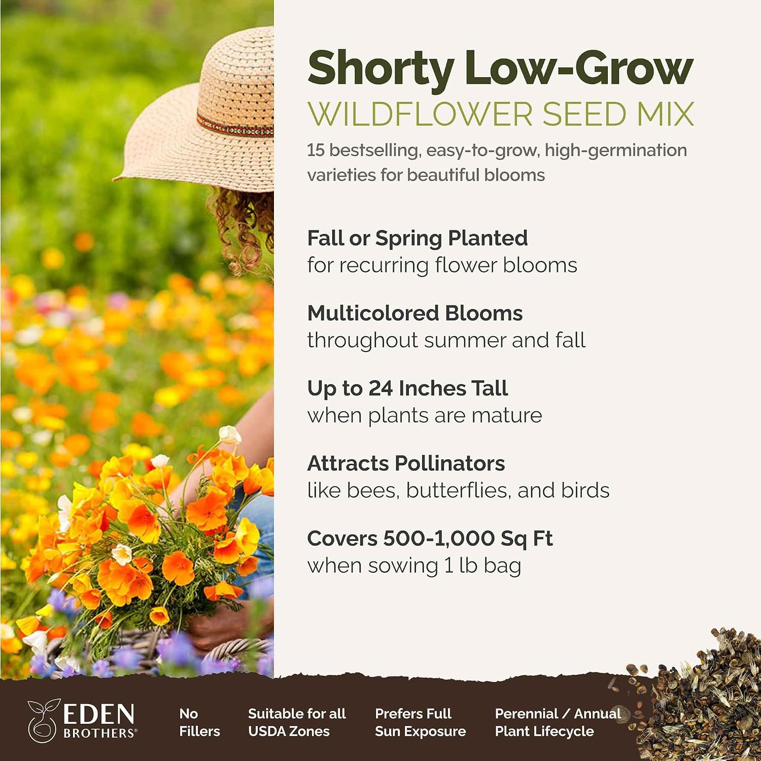 Eden Brothers Shorty Low Grow Wildflower Mixed Seeds for Planting, 1 lb | 480,000+ Seeds with Calendula, Cornflower