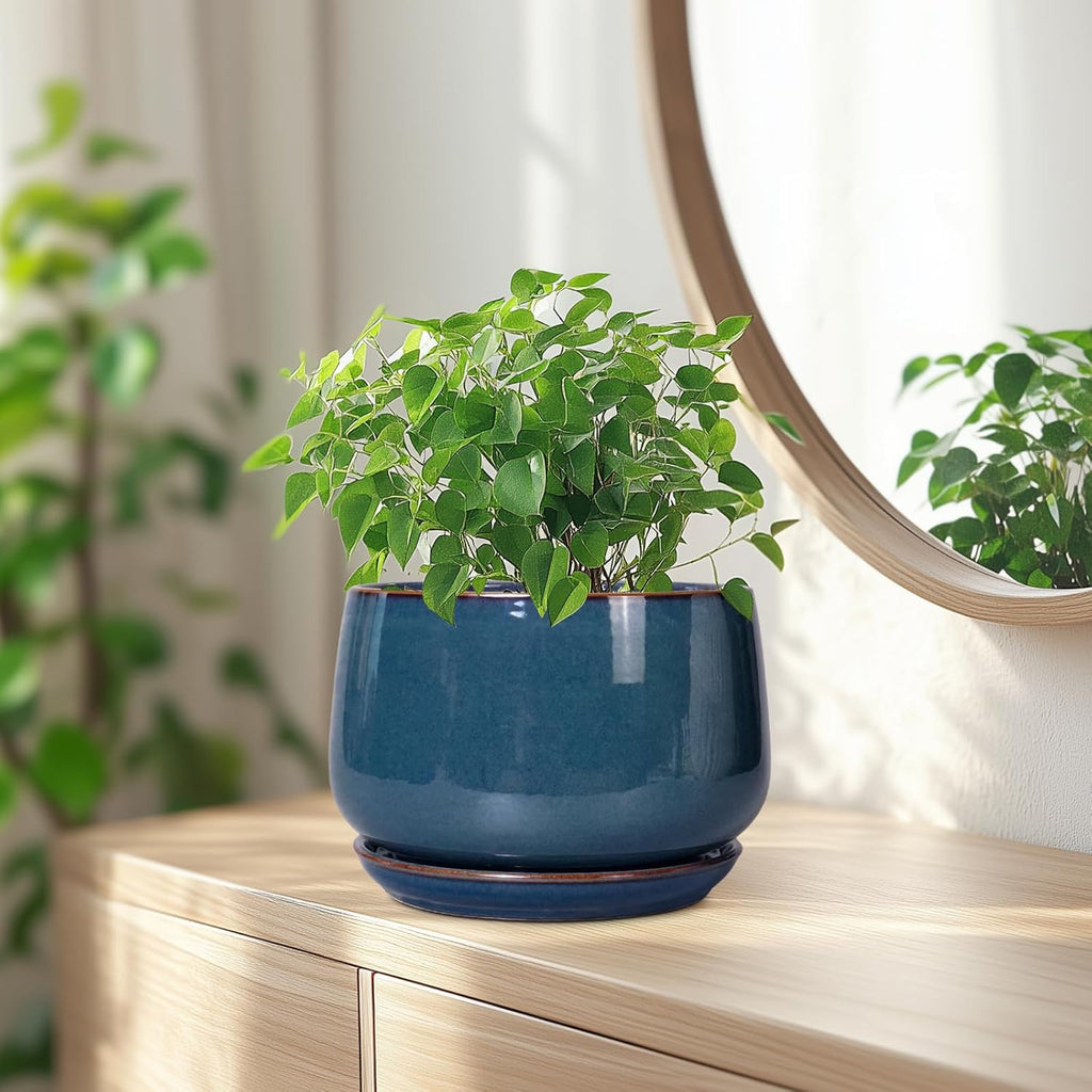 G EPGardening Ceramic Pot for Plants - Modern 7 Inch Round Planter with Drainage and Tray Indoor Outdoor for Flower