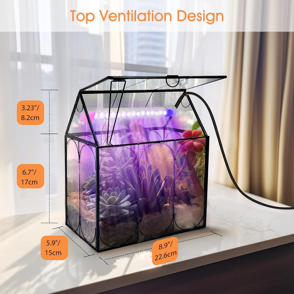 RIFNY Plant Terrarium with Grow Light, Glass Terrarium 8.9 x 5.9 x 9.9 Inch | Terrarium with LED Grow Light and