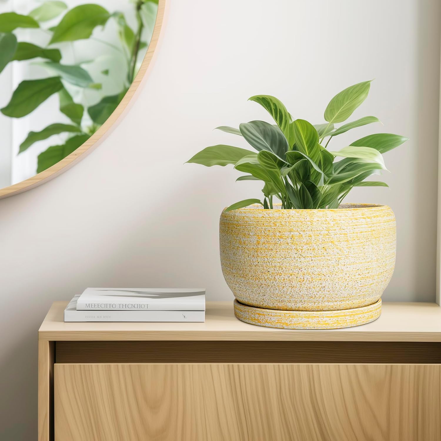 SQOWL Ceramic Planters for Indoor Plants - 10 Inch Plant Pot with Drainage Hole and Saucer, Round Ceramic Flower Pot