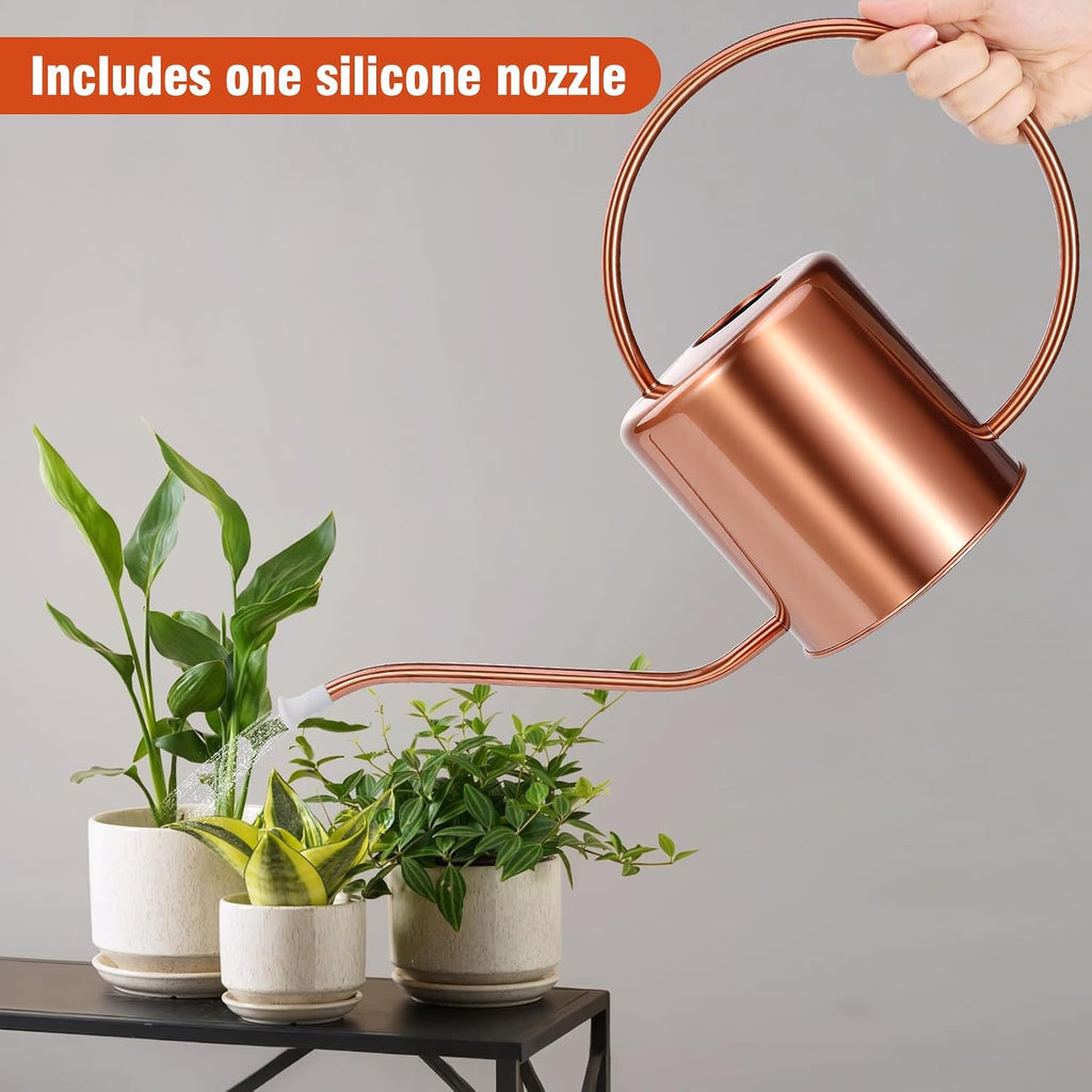 Plant Watering Can, 50 oz / 1500 ml Stainless Steel Metal - Modern Decorative with Long Spout for Indoor Potted Plants