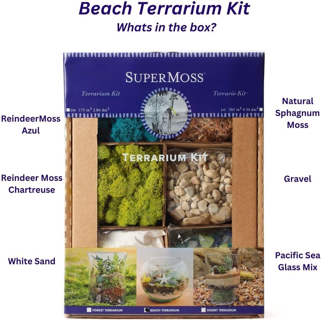 SuperMoss (90420) Beach Terrarium DIY Kit – Create Stunning Nature-Inspired Mini Gardens – Perfect for Home Decor
