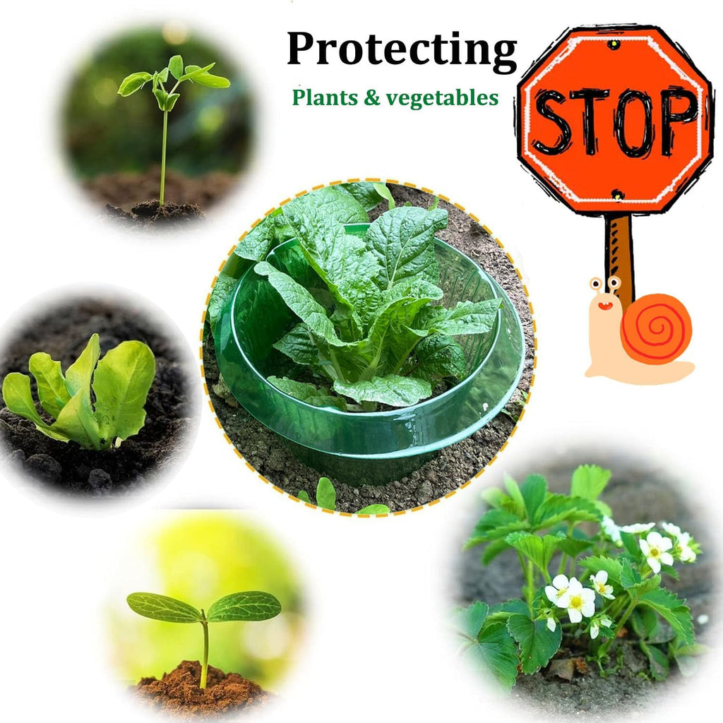 Fshow Slug & Snail Collars,30pcs Snail Garden Cloches,Snail Collar Protects Plants to Get Better.