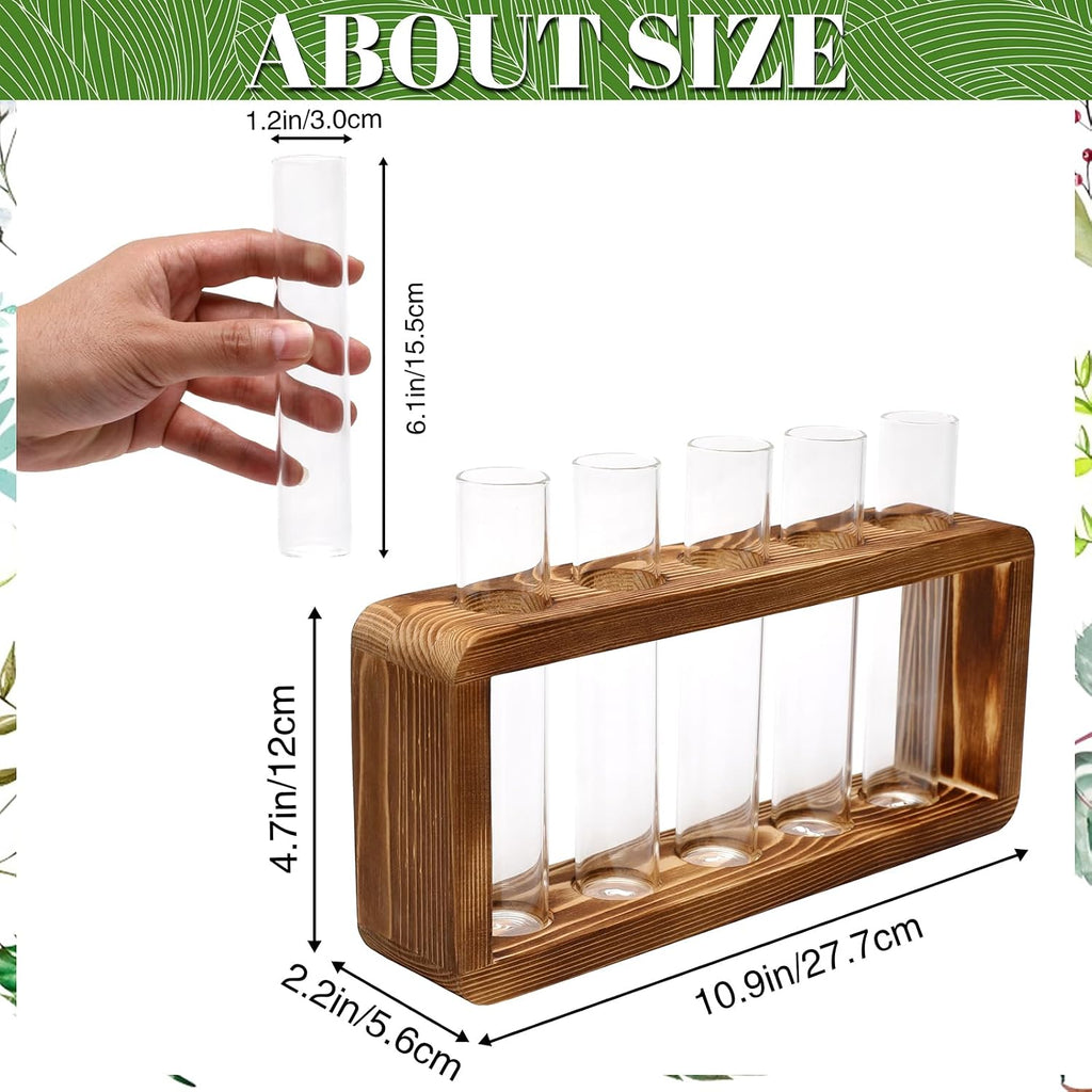 Glass Plant Propagation Station with 5 Test Tubes Colorful Planter Vase | Birthday Gifts for Women Mom Plant Lovers