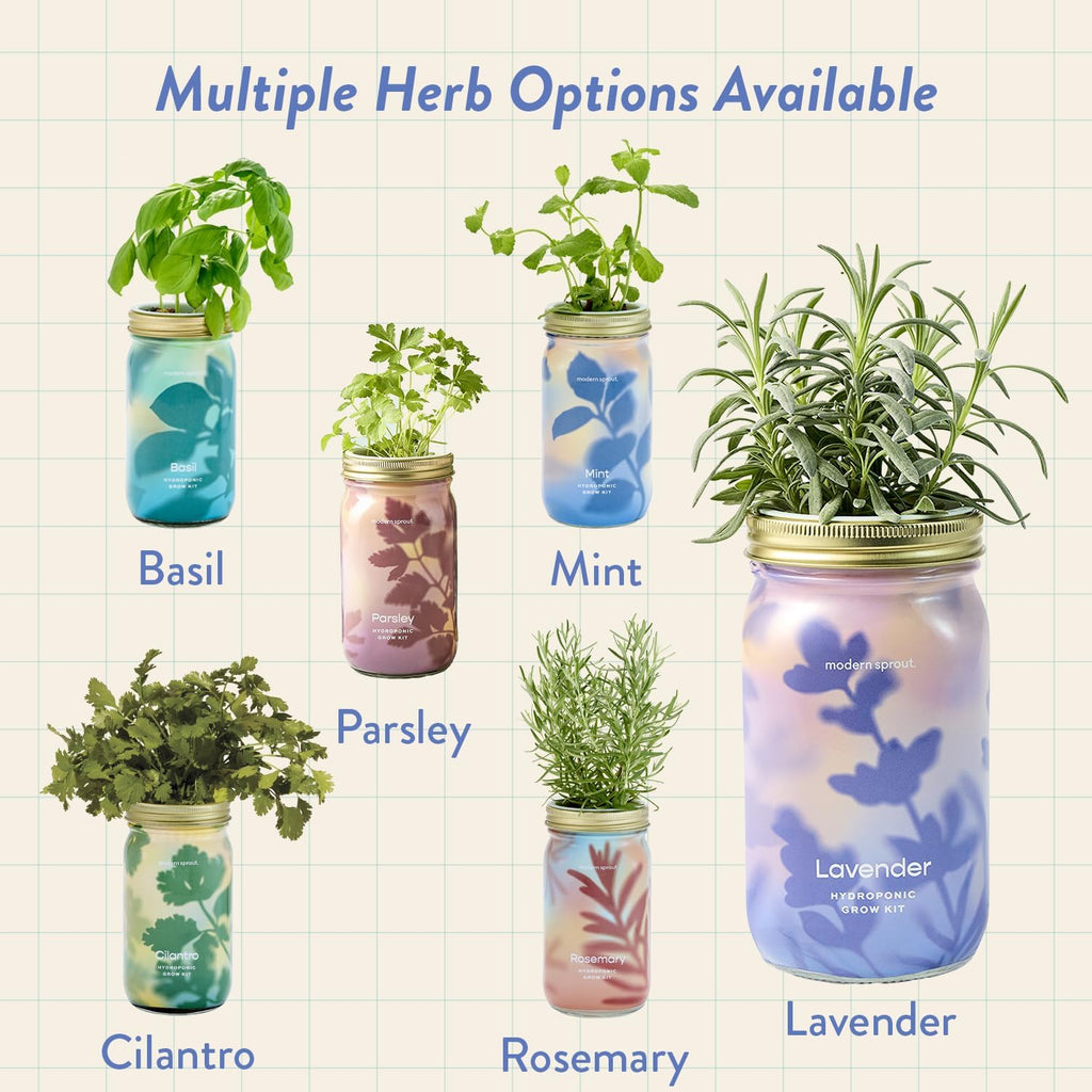 Modern Sprout MasonJar+Replant Kit-Self-Watering Hydroponic System-Lavender | Growing System Kit w/Organic Herb Seeds