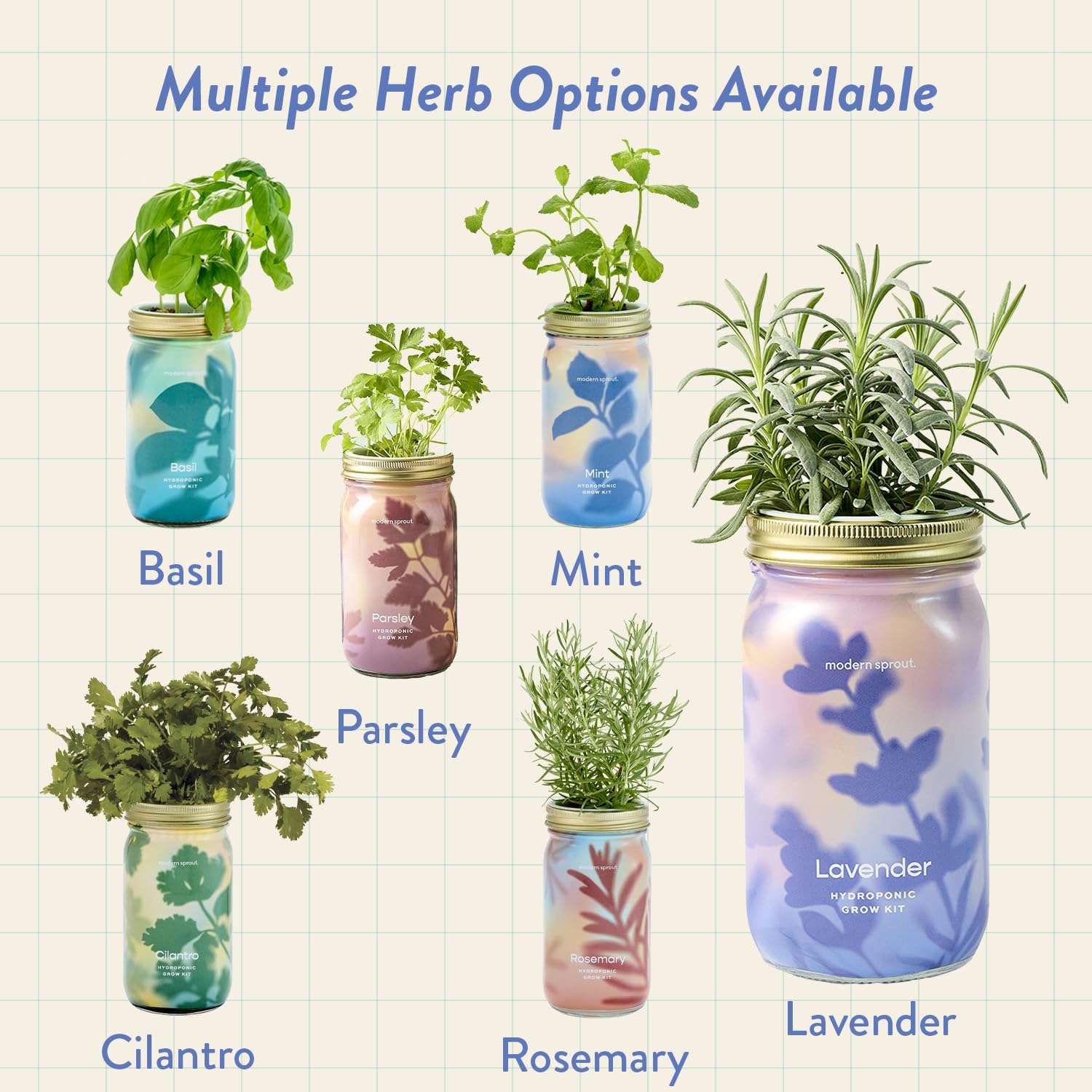 Modern Sprout MasonJar+Replant Kit-Self-Watering Hydroponic System-Lavender | Growing System Kit w/Organic Herb Seeds