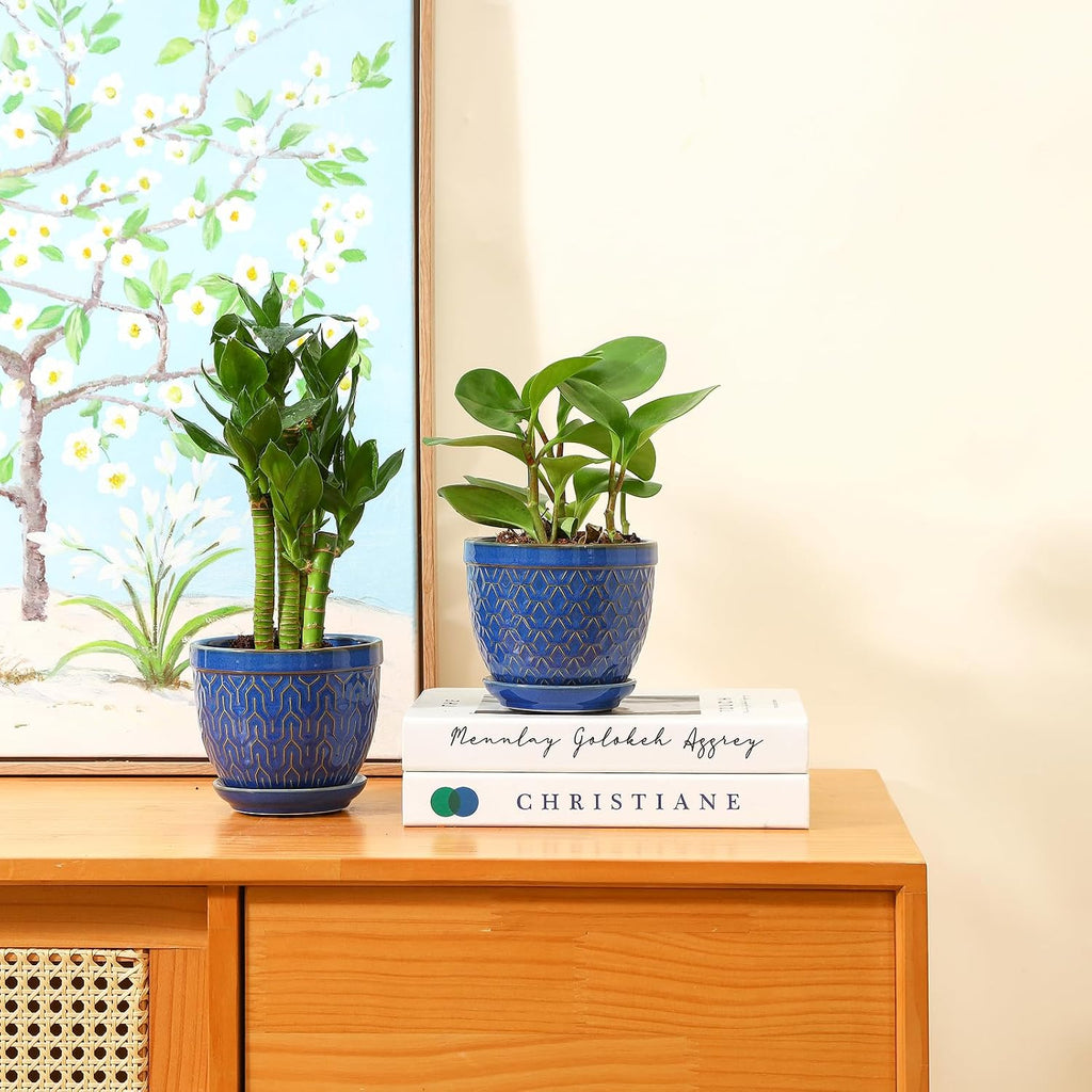 Sureasy Ceramic Plant Pots, 4.7 Inch Flower Pots for Indoor Plants, Succulent Pots with Saucer and Drainage Hole
