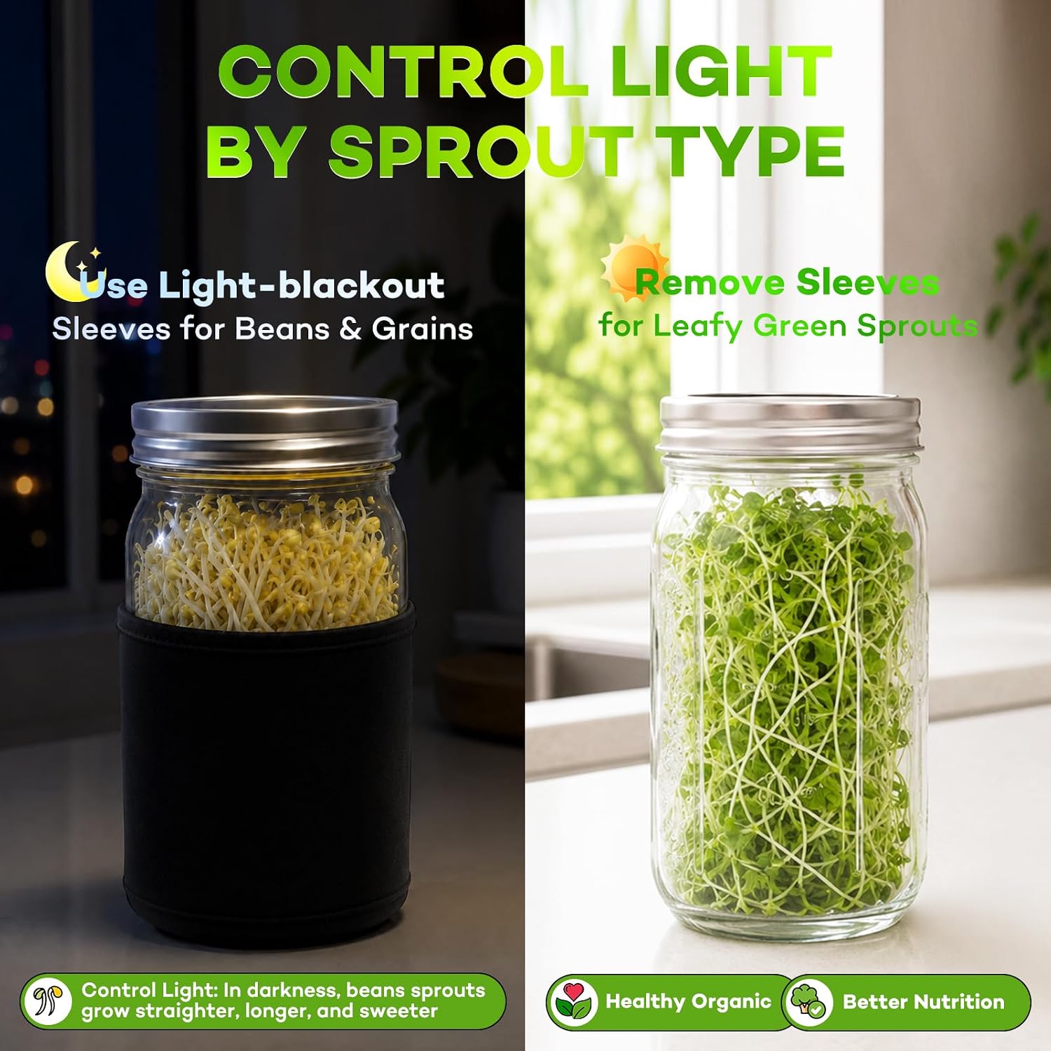 Seed Sprouting Jar Kit with Mung Beans & Radish Seeds, 2 Large Mouth Mason Jars with Stainless Steel Stand, Blackout