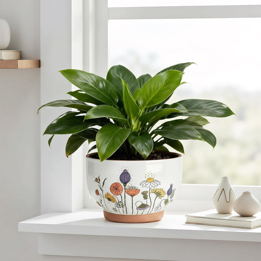 Terracotta Pots, 8+6 Inch Plant Pots, 2 Pcs with Drainage Holes | White & terracotta ceramic planters with botanical