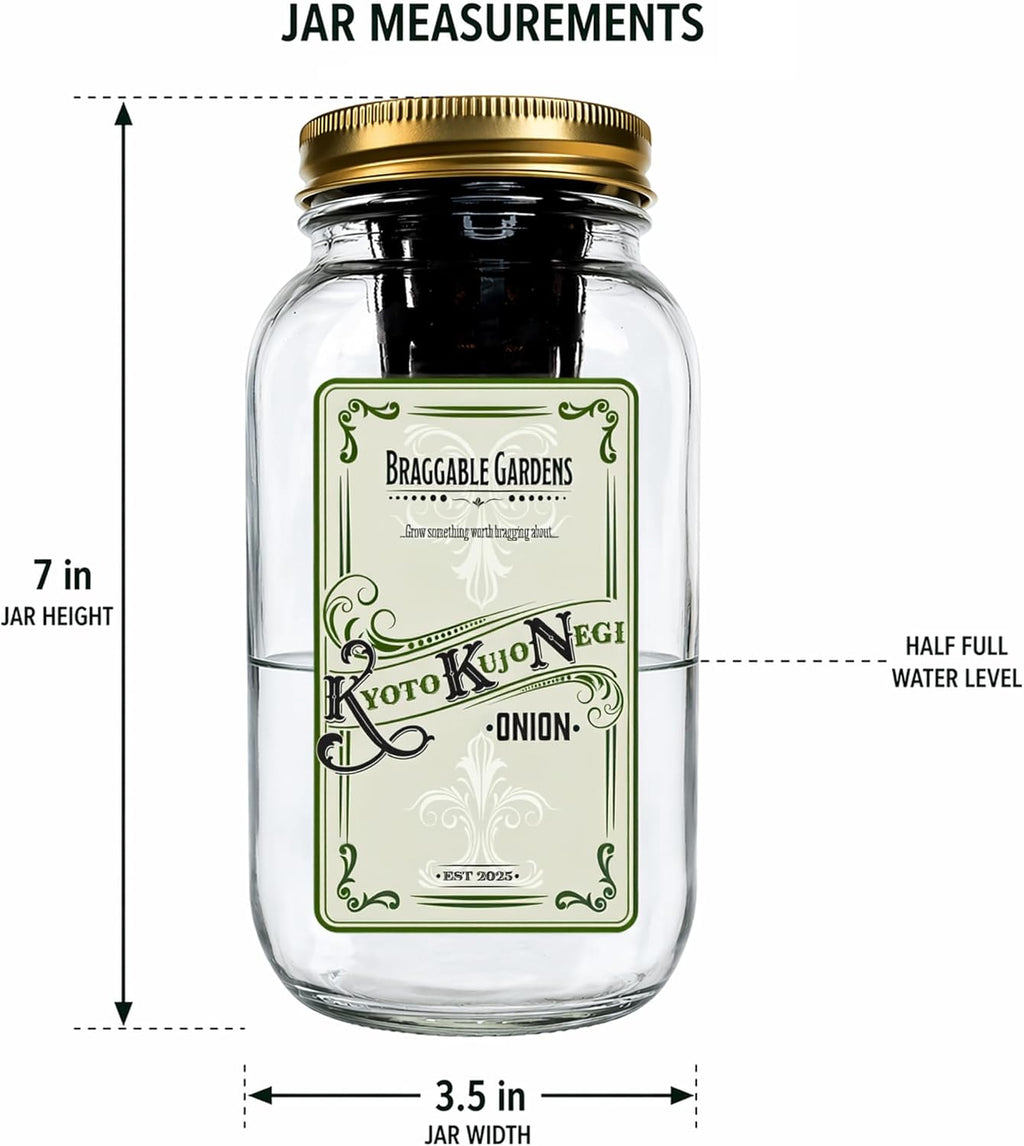 Kyoto Kujo Negi Japanese Green Onion Indoor Garden Kit | Mason Jar Hydroponic, Windowsill Countertop, Grow Fresh Green