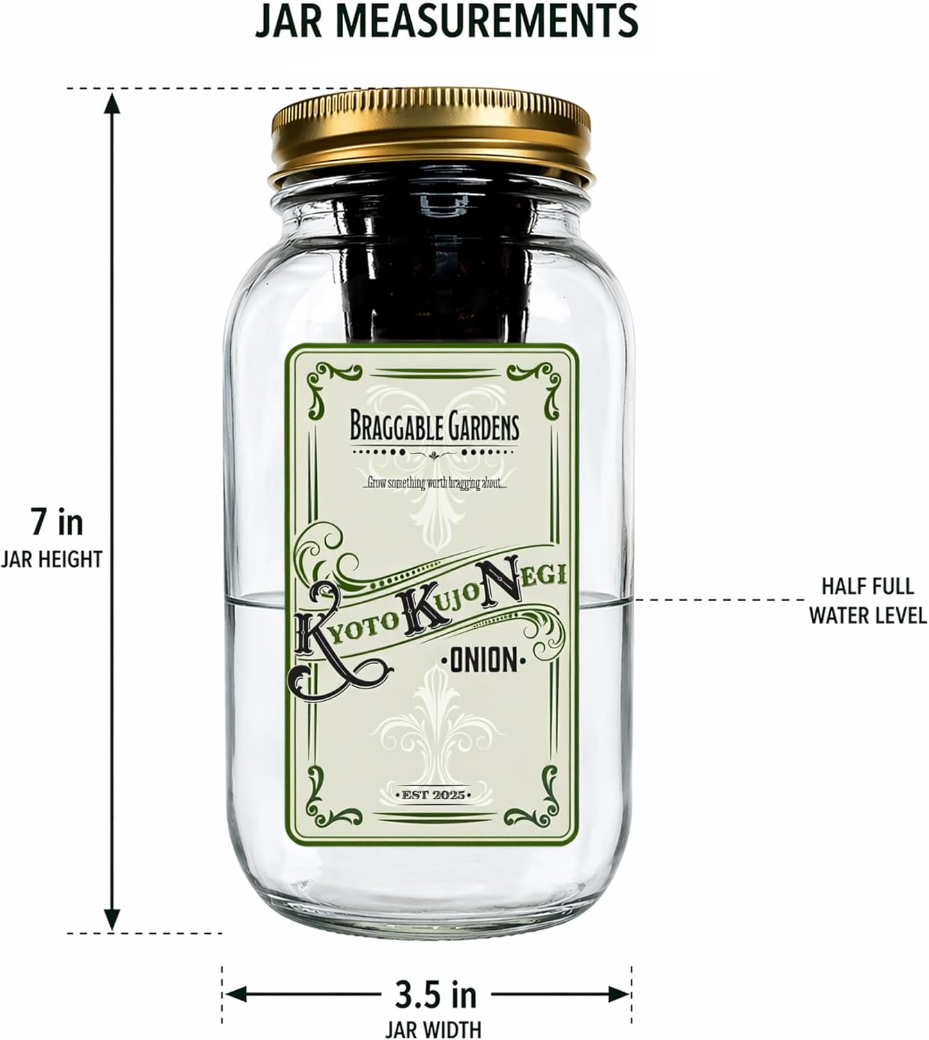 Kyoto Kujo Negi Japanese Green Onion Indoor Garden Kit | Mason Jar Hydroponic, Windowsill Countertop, Grow Fresh Green