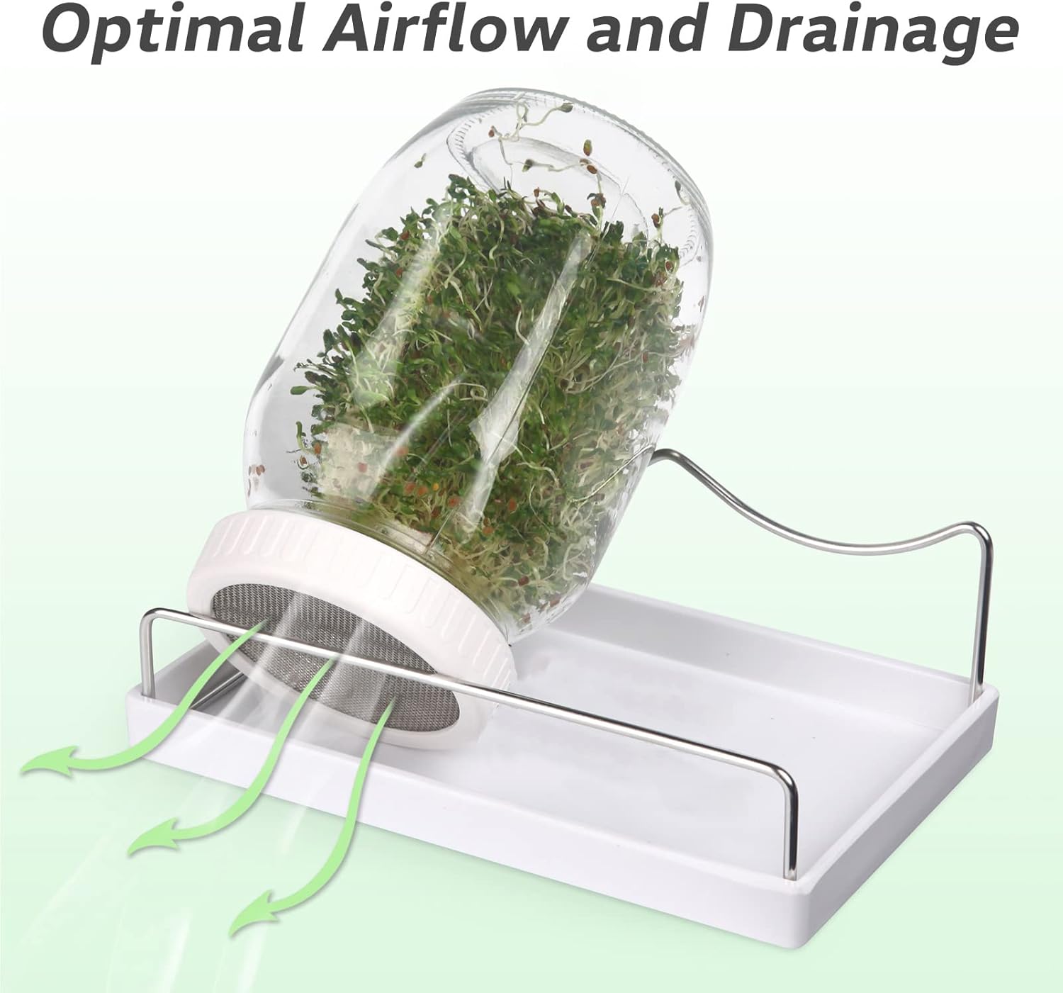 Complete Sprouting Jar Kit| 2 Wide Mouth Mason Jars, 316 Screen Sprout Lids, Blackout Sleeves, Tray, Stand| Sprouter
