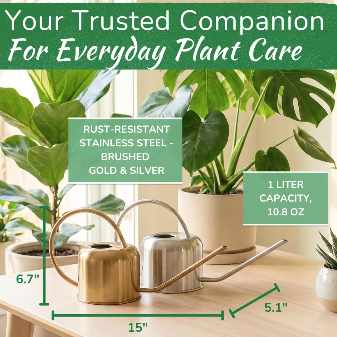 Stainless Steel Houseplant Watering Can, Brushed Gold, 1L Capacity
