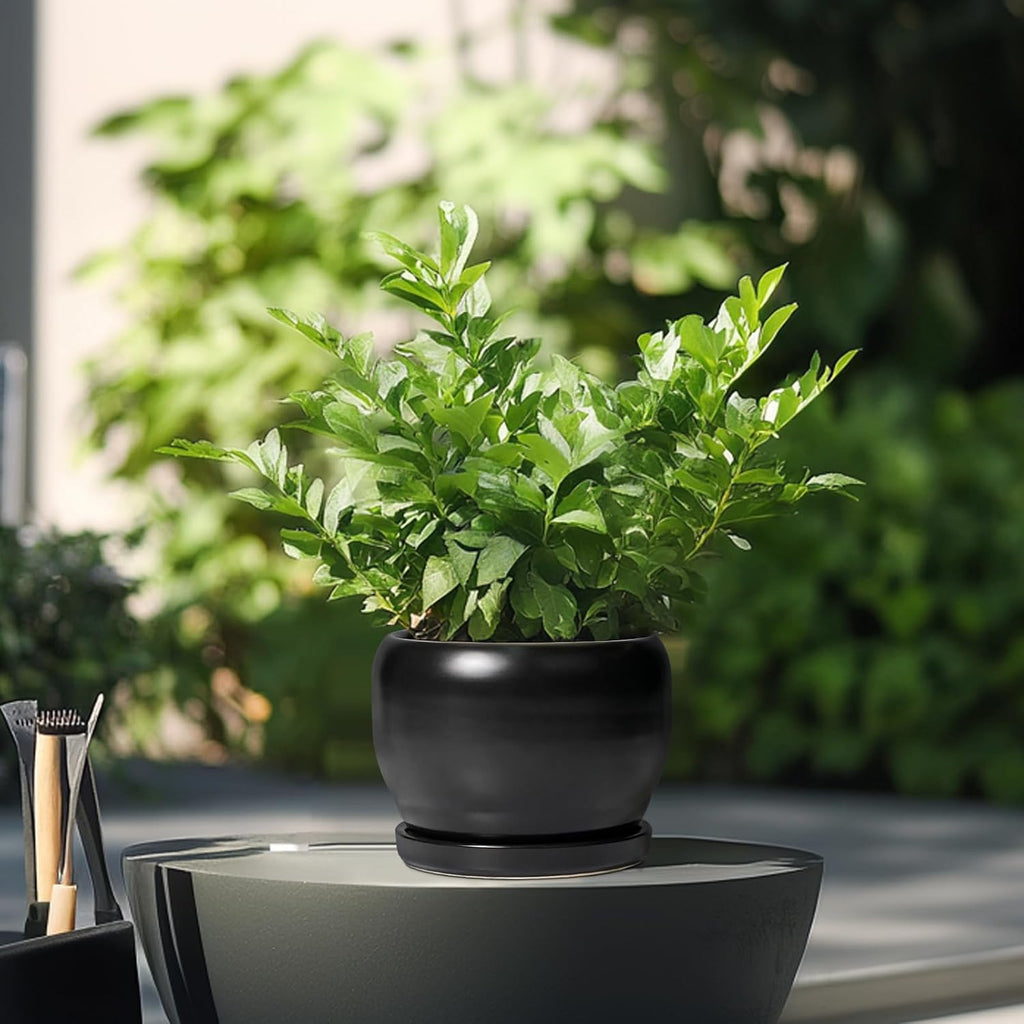 SQOWL Ceramic Plant Pot - 6 Inch Planter for Indoor Plants, Round Flower Pot with Drainage Hole and Saucer, Modern