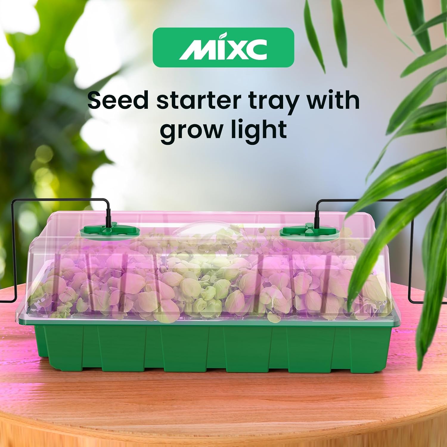 MIXC Seed Starter Tray with Lights, 2 Packs Mini Propagator Plant Grow Kit Greenhouse with Humidity Vented Domes and