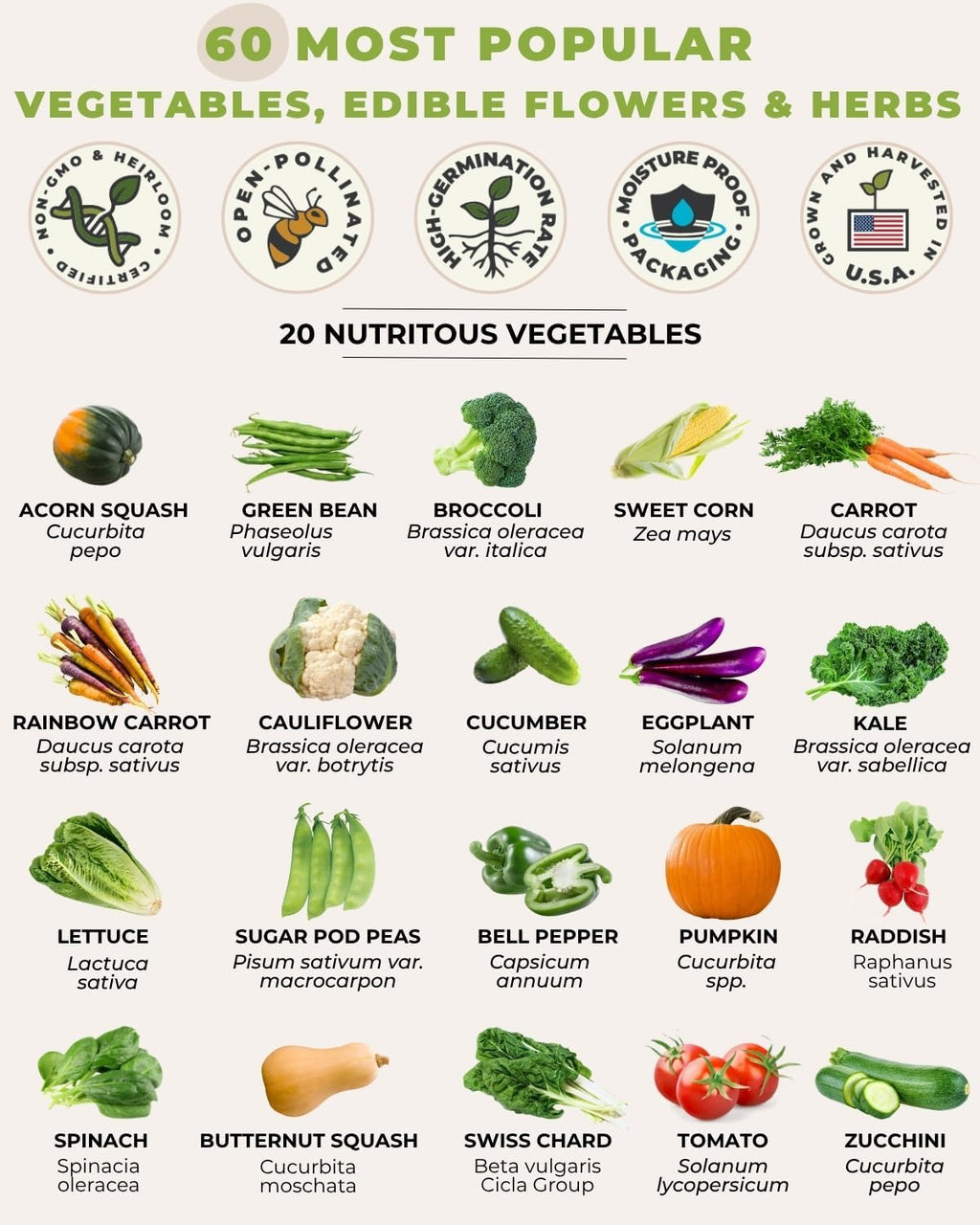 Tactiko Vegetable, Herb & Edible Flower Seeds Kit | 60 Varieties - Non-GMO