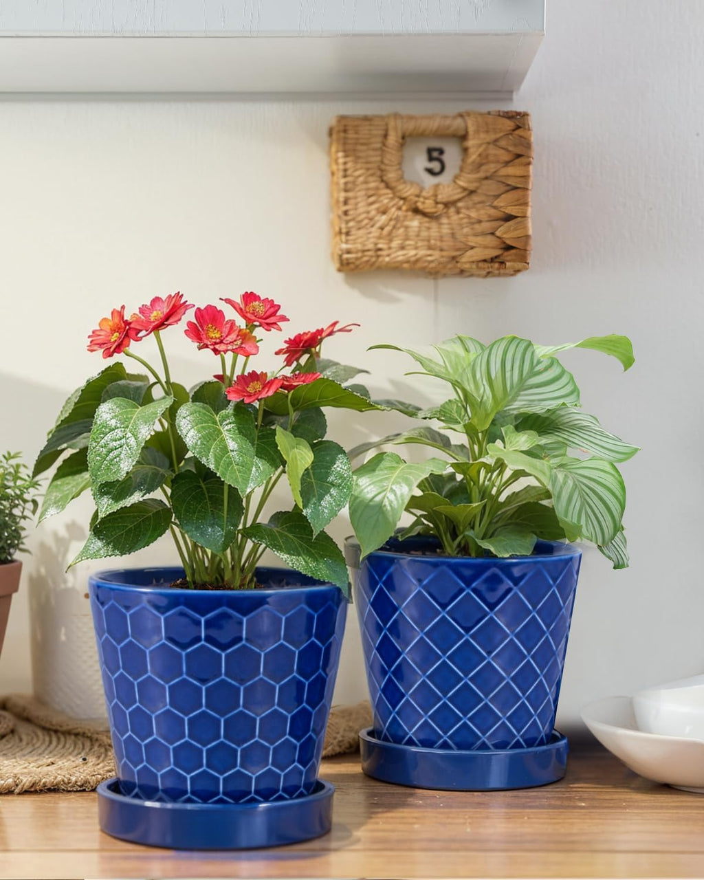 EFISPSS Ceramic Plant Pots, 5Inch Pots for Indoor Plants, Planters with Drainage Holes and Ceramic Tray,Plant Lover