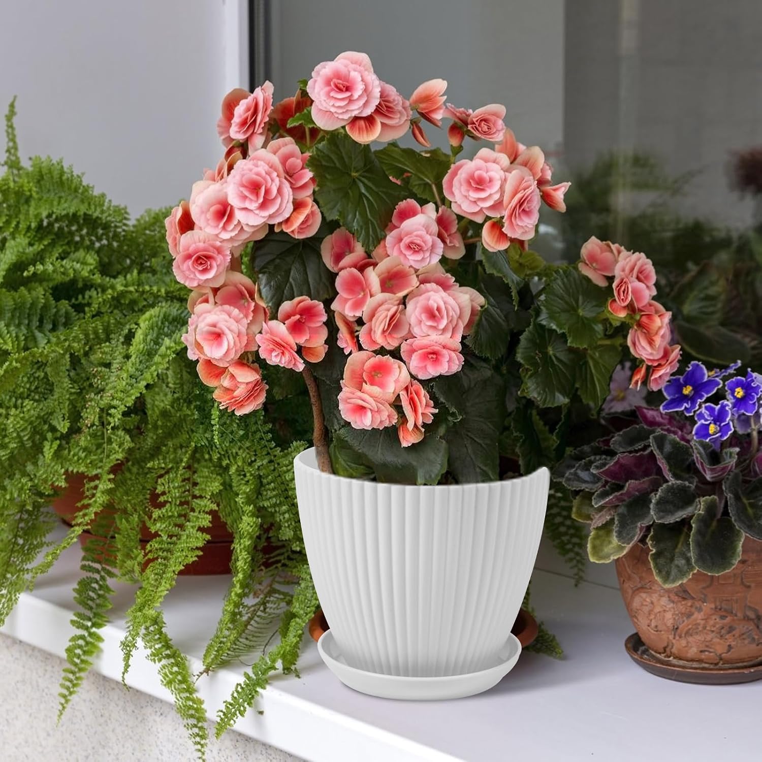 7 Inch Large Plant Pots, 6 Pack Flower Pots with Drainage Hole and Tray Saucer Plastic Plant Pot for Outdoor Indoor