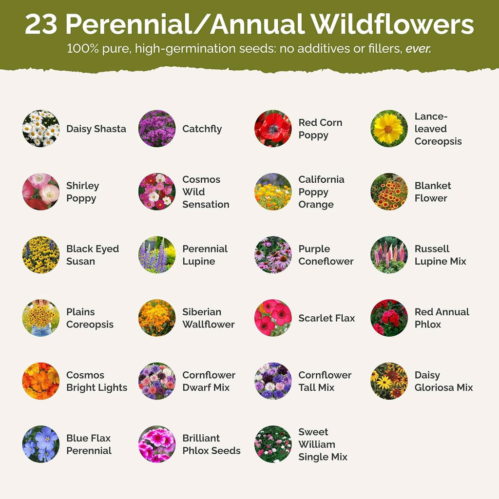 Eden Brothers Northeast Wildflower Mixed Seeds for Planting, 1 lb, 480,000+ Seeds with Cosmos, Candytuft, Shasta Daisy