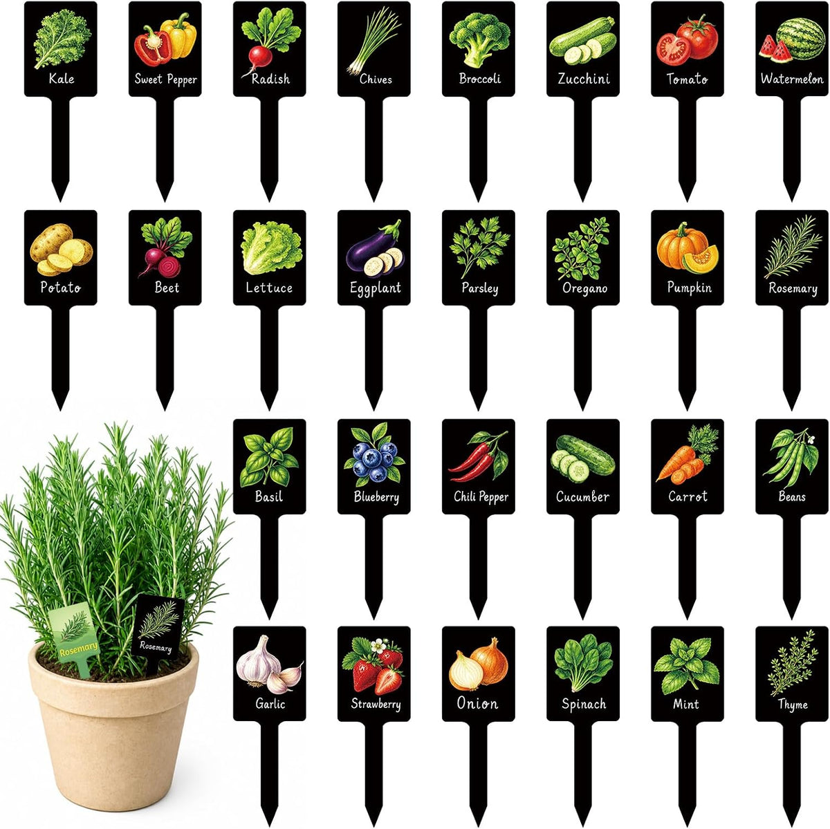 60PCS Plant Label Vegetable Herb Garden Marker, Color & Black Double-Sided