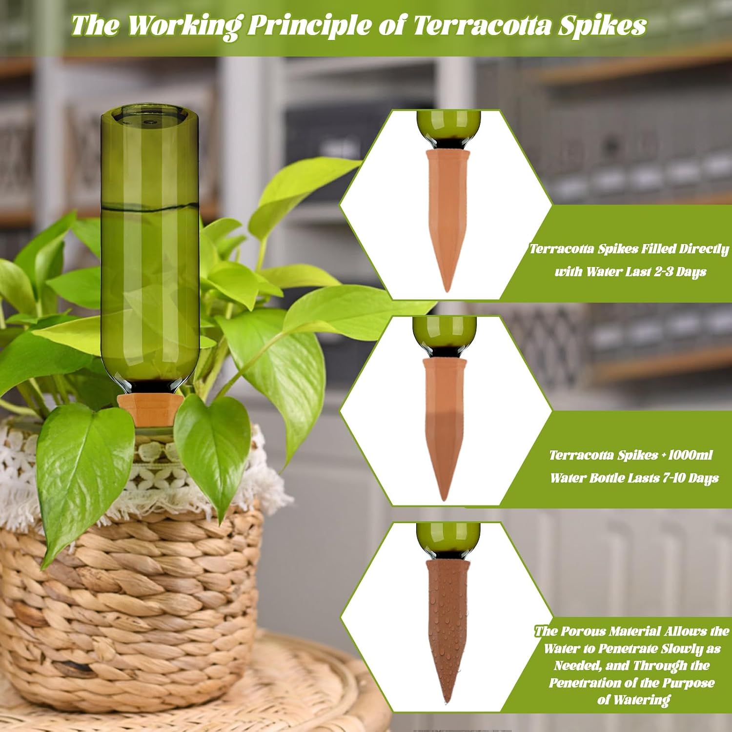 TINSKY 6 Sets Plant Watering Devices Terracotta Self Watering Spikes and 26 Oz Plastic Green Bottles Slow Release
