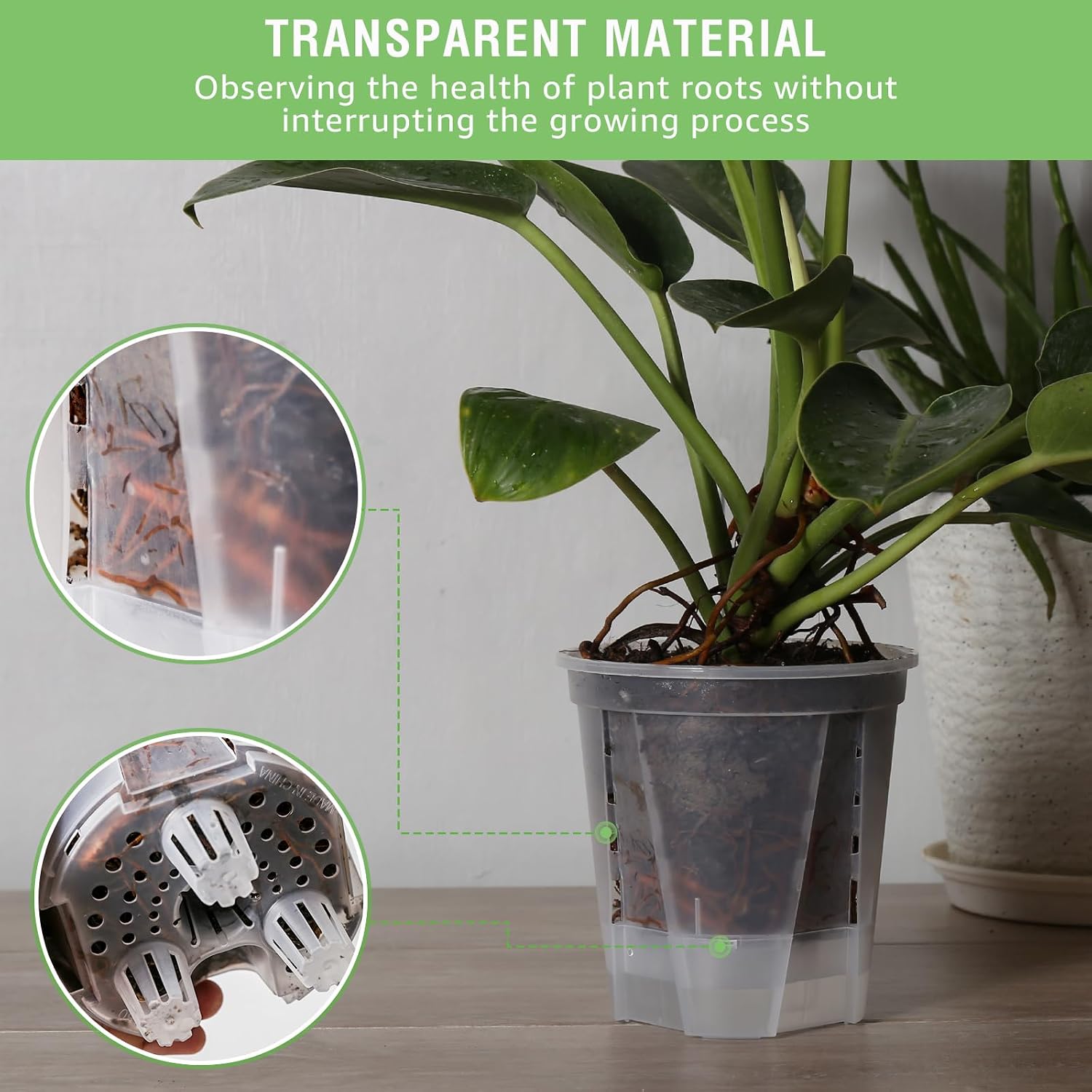 GREENPARA 5 Inch Clear Self Watering Planter, Plant Pot with Reservoir | Clear Reservoir • Visible Water Level •