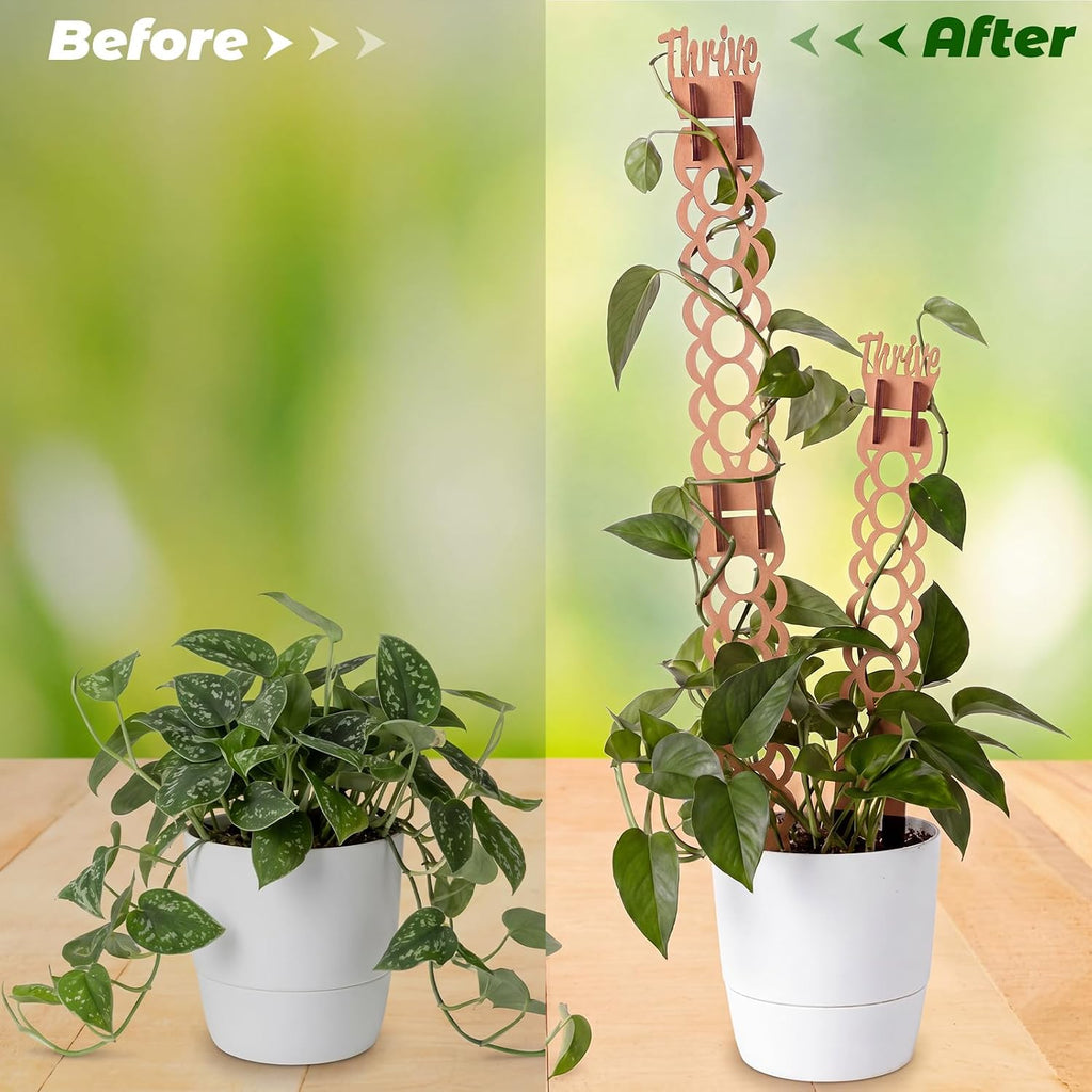 6 Sets Wooden Extendable Plants Trellis Indoor Modular Plant Trellis with Wood Thrive Sign Decor and Extensions for