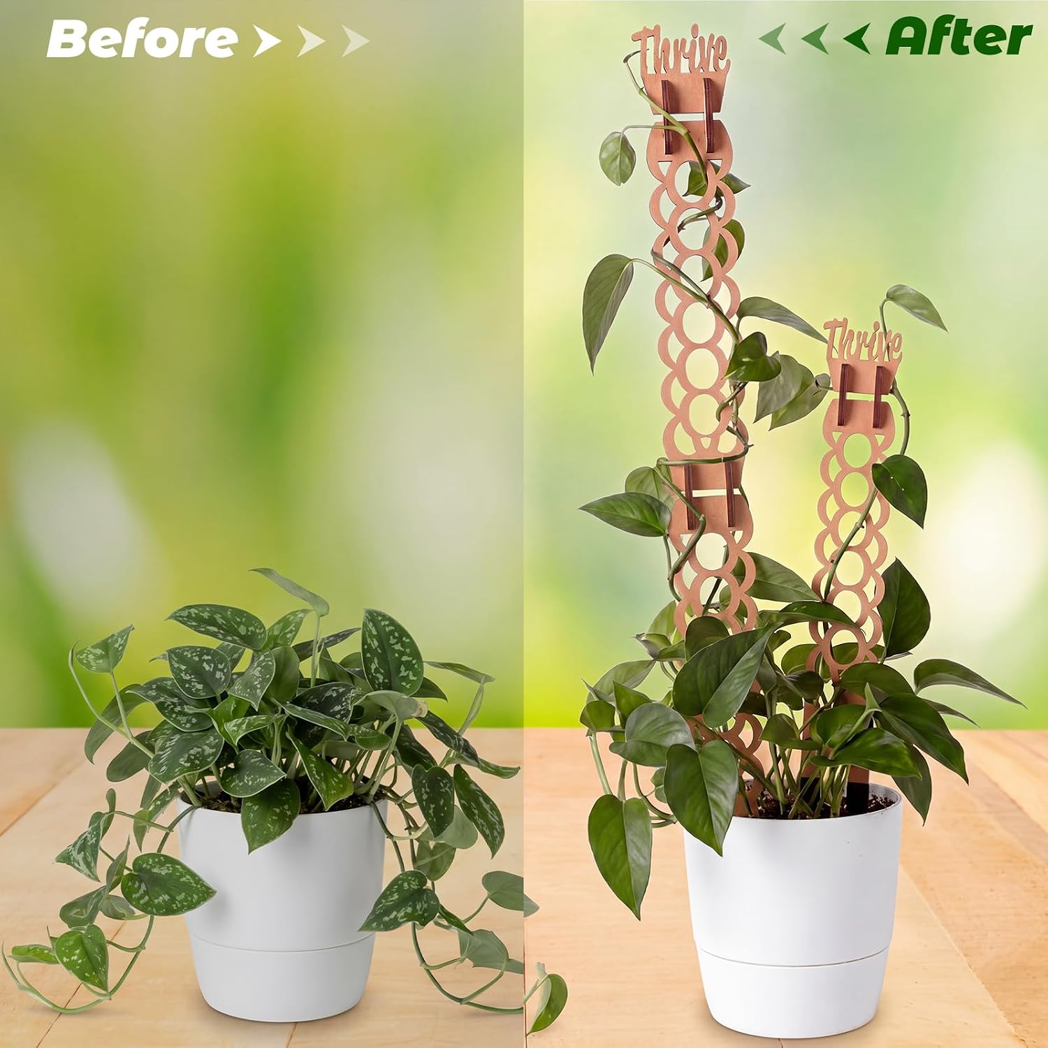 6 Sets Wooden Extendable Plants Trellis Indoor Modular Plant Trellis with Wood Thrive Sign Decor and Extensions for