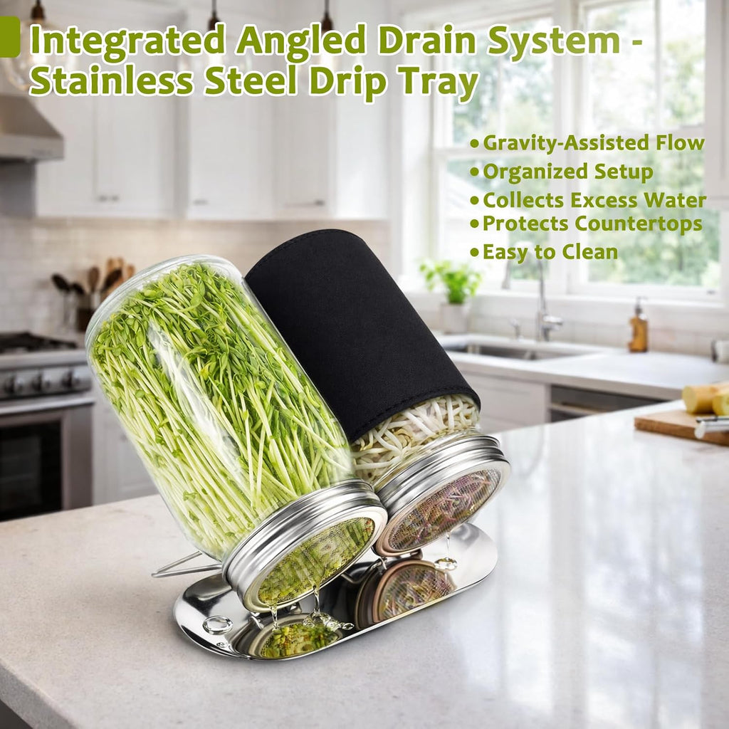 Sprouting Jar Kit, Stainless Steel Sprouting Lids with Stand, 2 Pcs | Sprouting Kit with Glass Mason Jars &