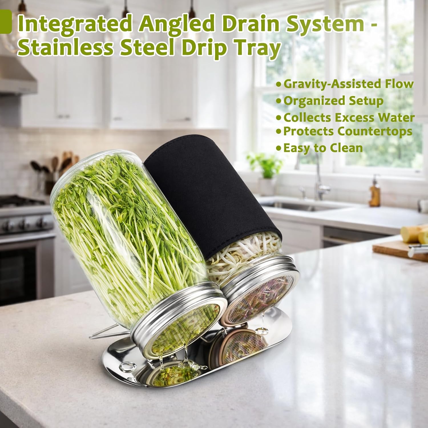 Sprouting Jar Kit, Stainless Steel Sprouting Lids with Stand, 2 Pcs | Sprouting Kit with Glass Mason Jars &