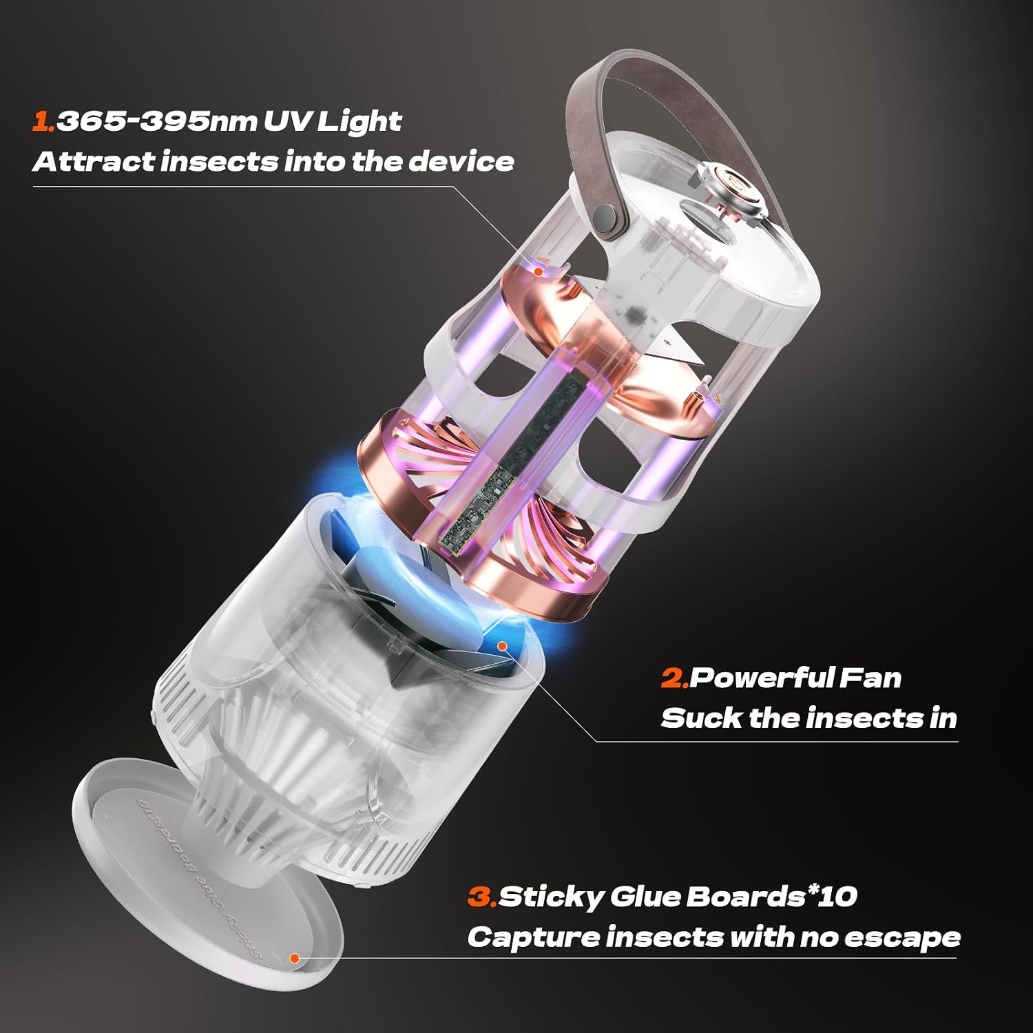 Fly Traps Indoor, Fruit Fly Trap for Home, Flying Insect Trap with Suction, Mosquito Traps Indoor & 10 Pcs Sticky Glue