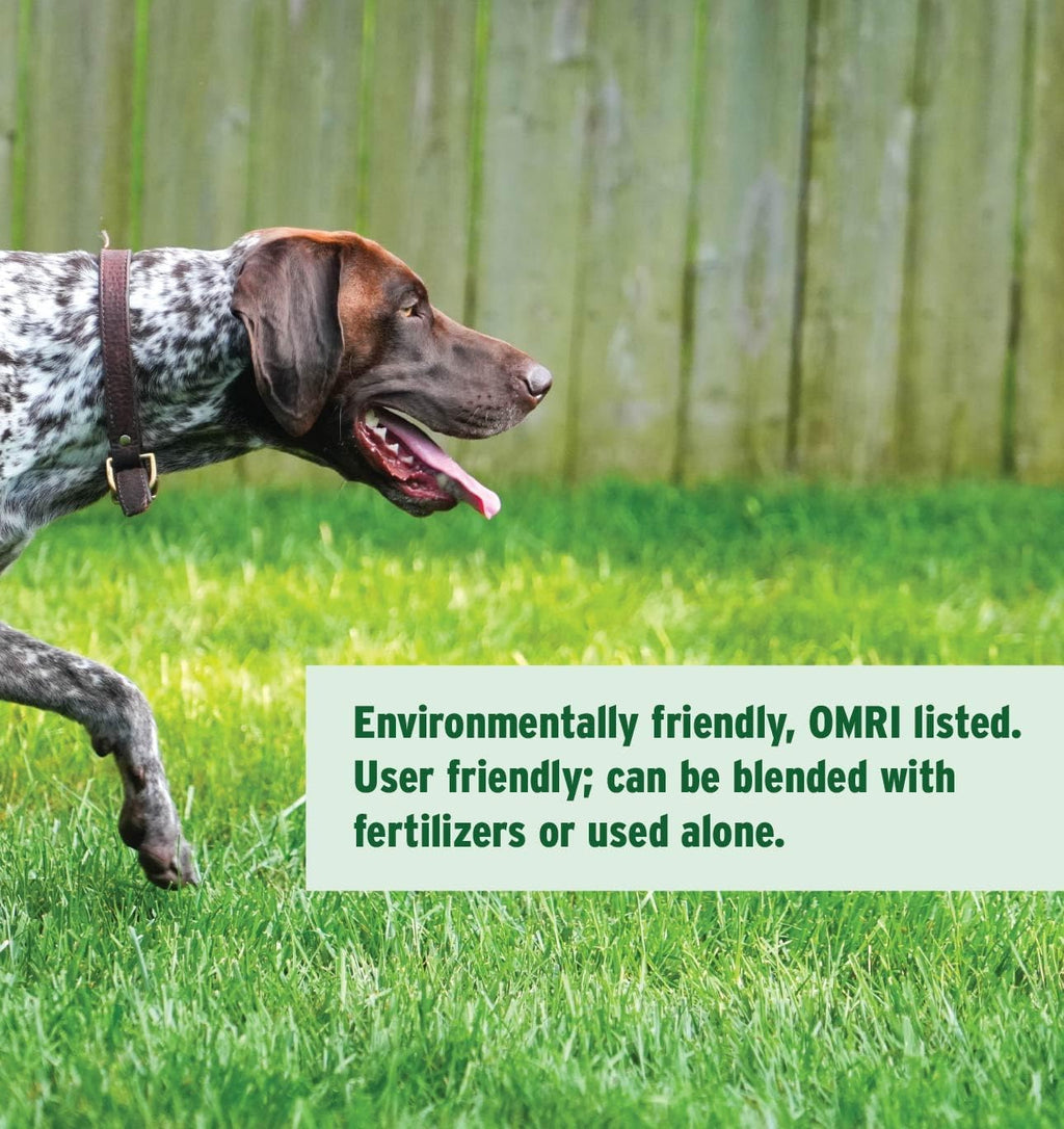 The Andersons HumiChar Organic Soil Amendment with Humic Acid and Biochar Covers 12,000 sq ft (12 lb)
