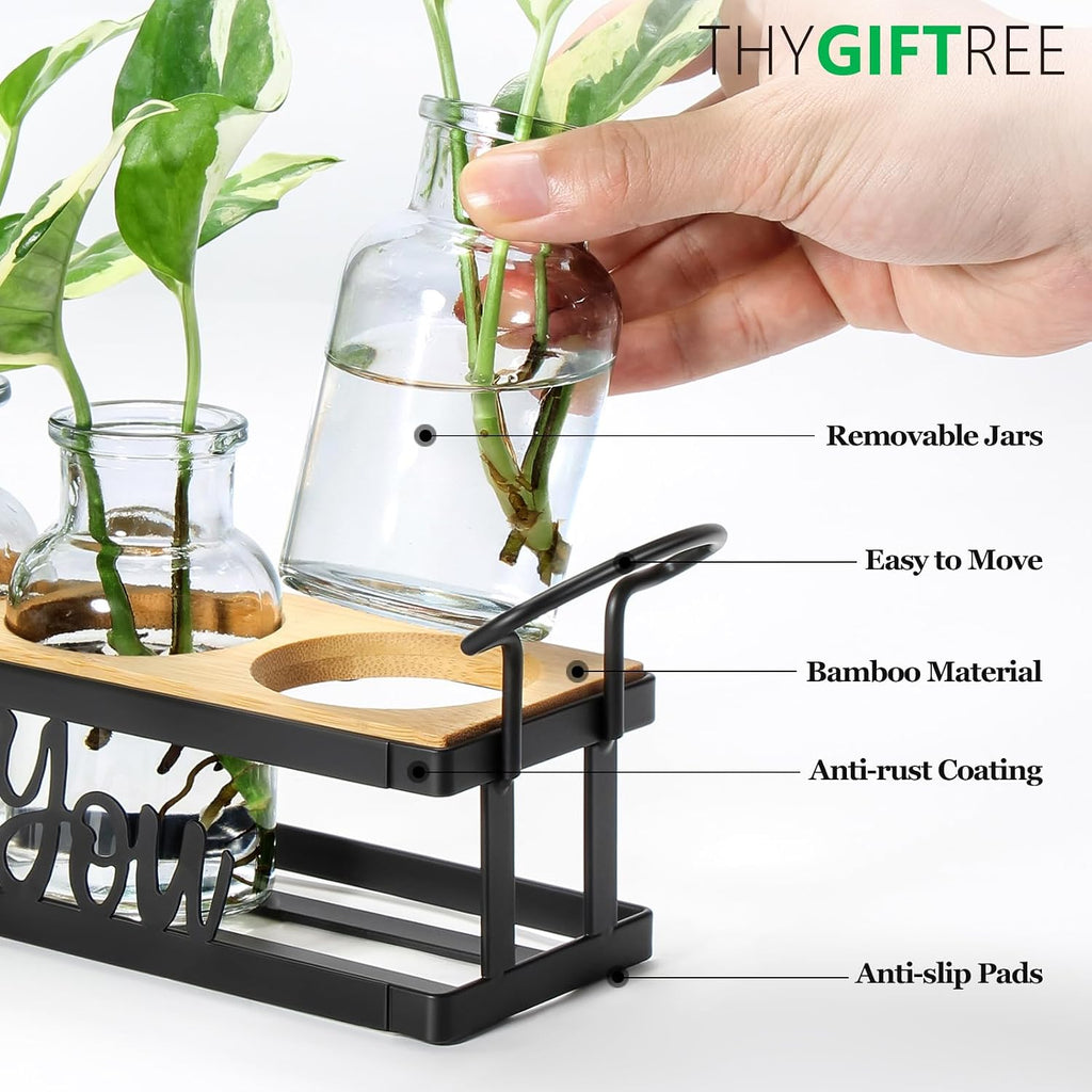 Plant Propagation Station "Rooting for You" Hydroponic Planter Vase | 5 Glass Propagation Jars with "Rooting for You"