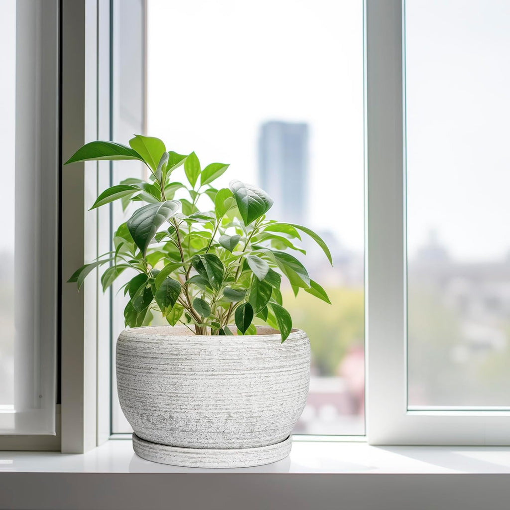 SQOWL Ceramic Flower Pots - 10 Inch Plant Pot Indoor with Drainage Hole and Saucer, Modern Ceramic Planter Outdoor