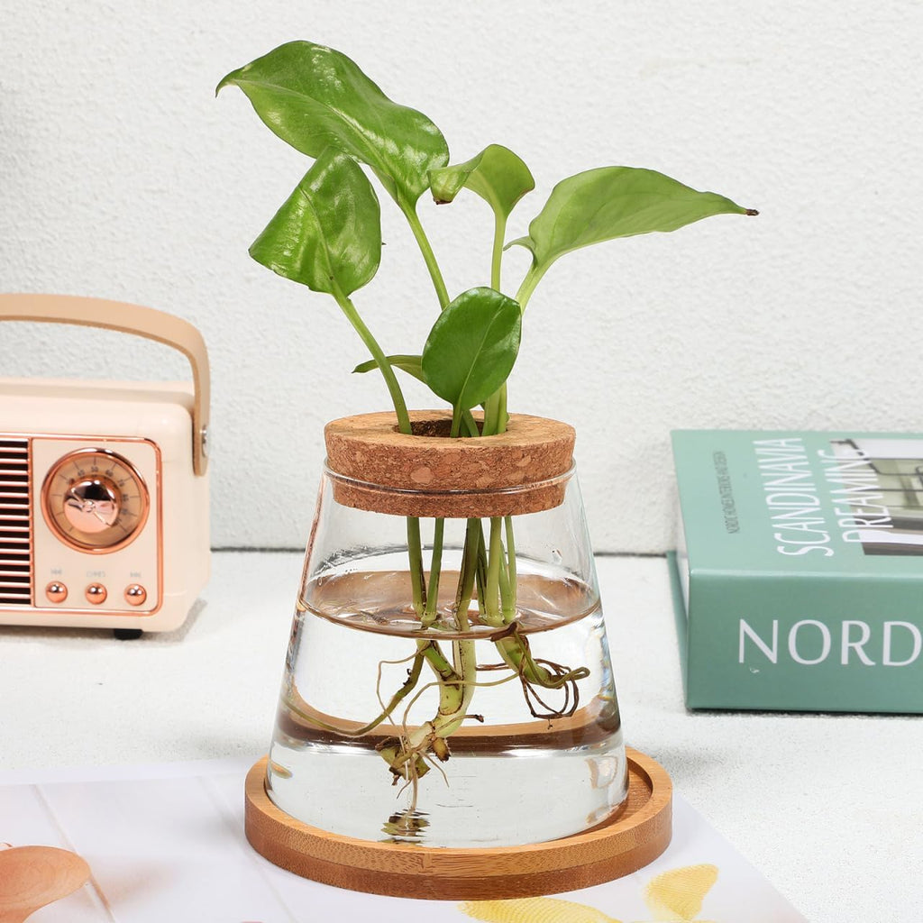 2pcs Glass Plant Propagation Station with Wooden Base Hydroponic Plants Vase for Indoor Decor Glass Terrarium Vase Jars
