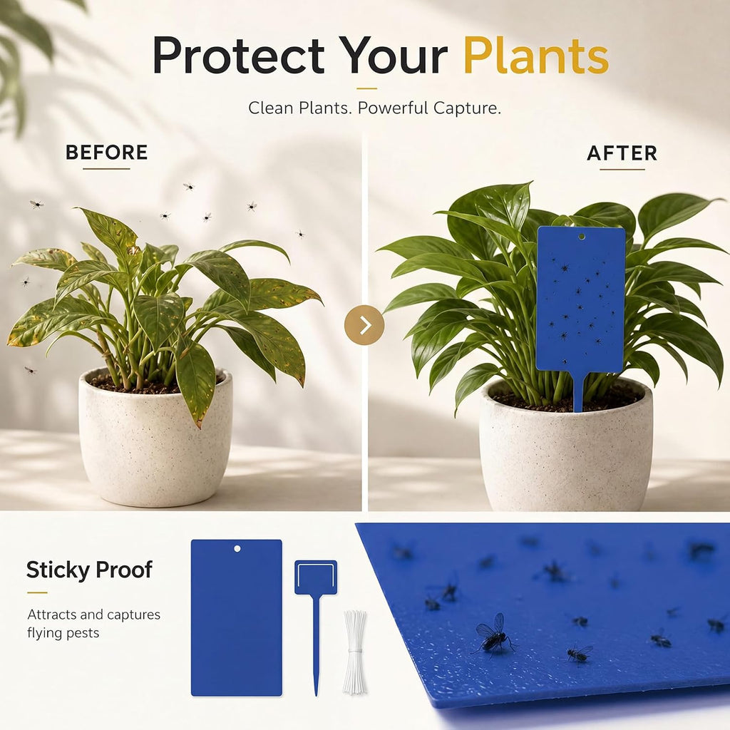 Qualirey 100 Pcs 6 x 8 in Blue Sticky Traps for Gnats Plant Insect Trap | Dual Sided Strong Sticky, Fungus Fruit Flies