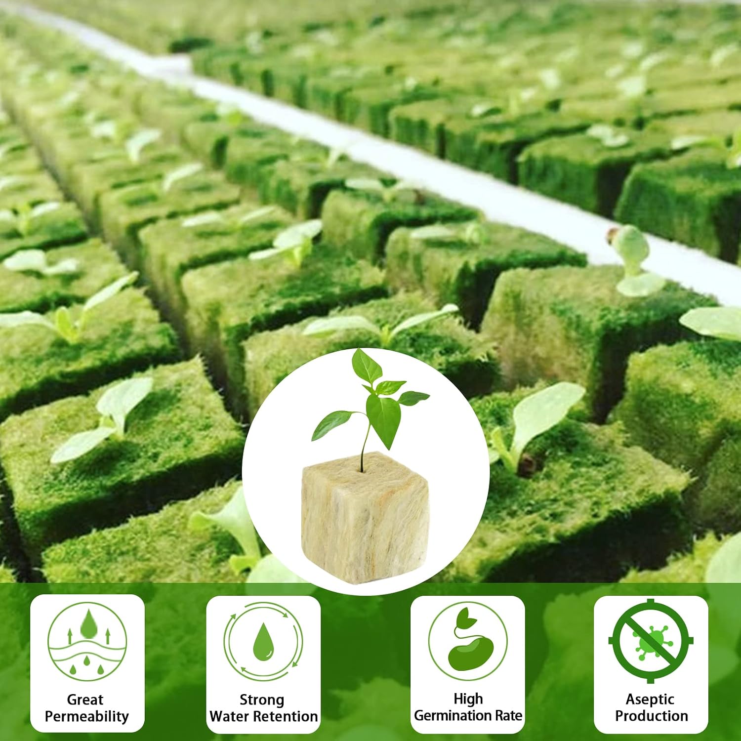1.5 Inch Rockwool Cubes for Hydroponics Seed Starter, Rock Wool Planting Cubes Hydroponic Garden Grow Plugs for