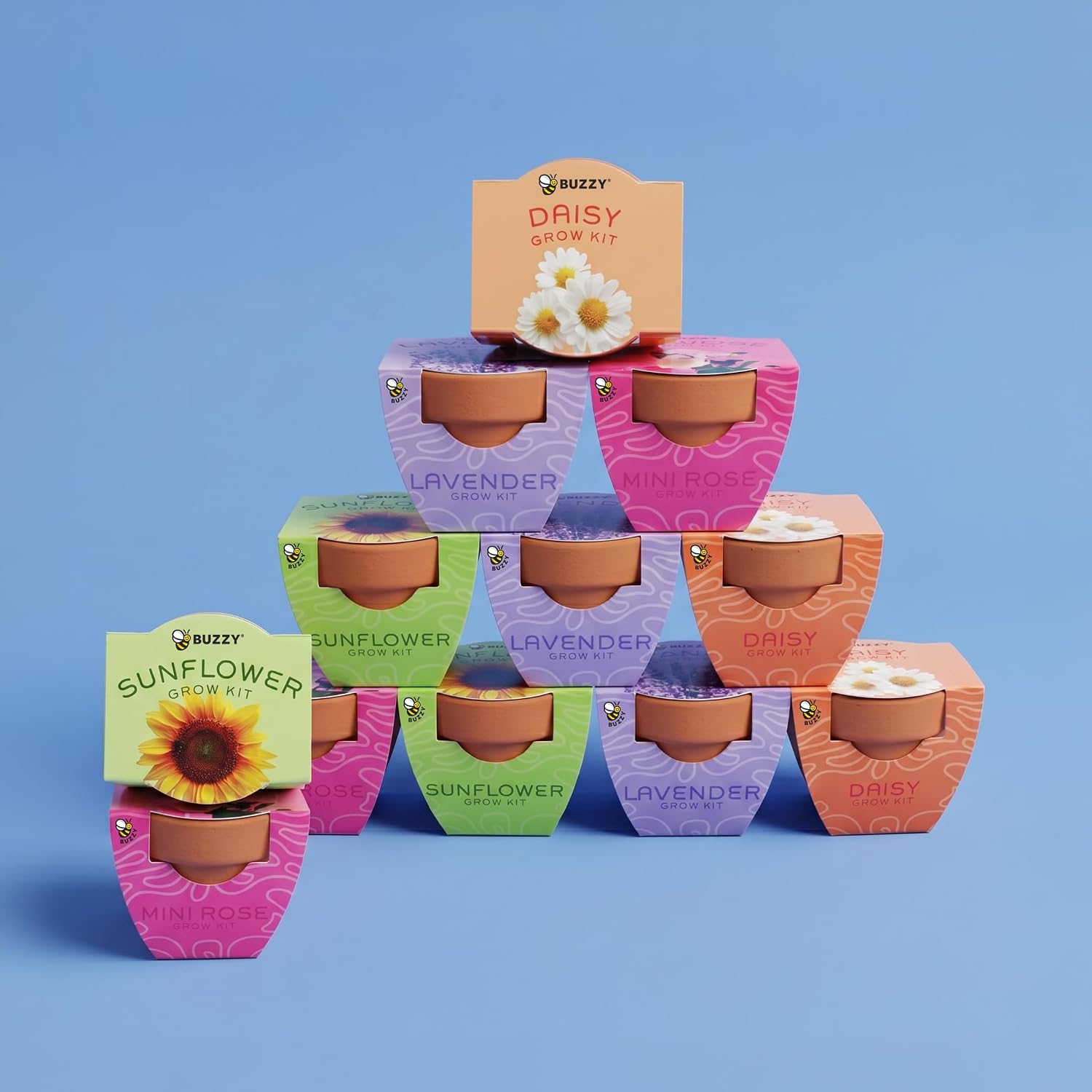 Buzzy Seeds Bright Series Grow Kit, Assorted 12-Pack - Mini Terracotta Pot Grow Set - Complete Indoor/Outdoor Gardening