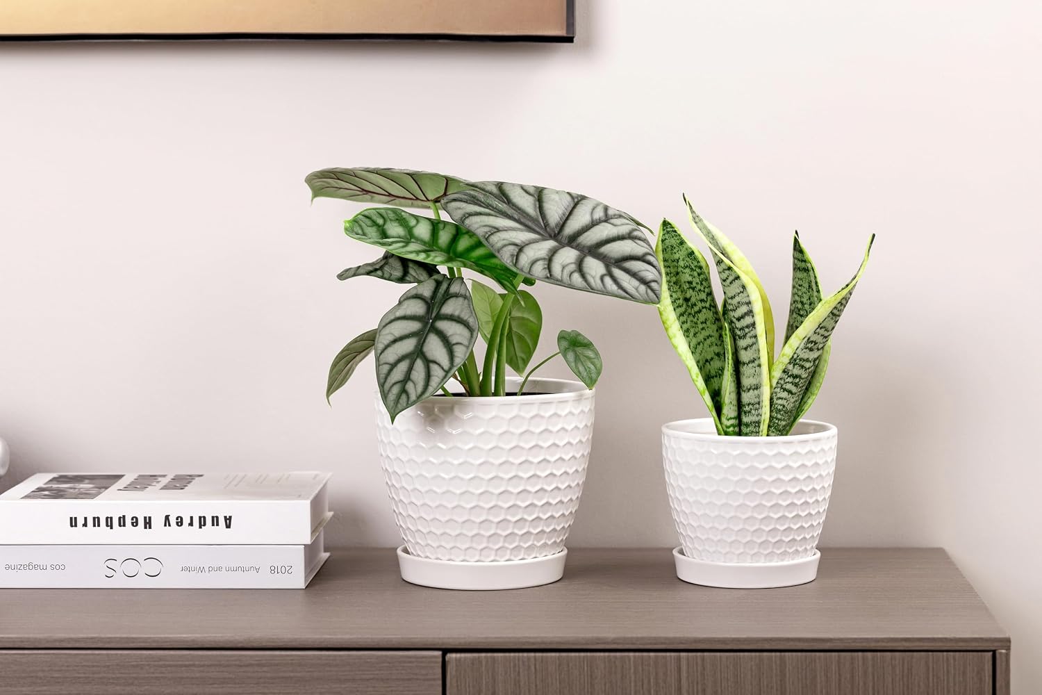 Docrin Ceramic Plant Pots Set of 2 (6.6"+5.5"), High-Fired Clay Indoor Planters with Drainage Holes & Saucer, Honeycomb